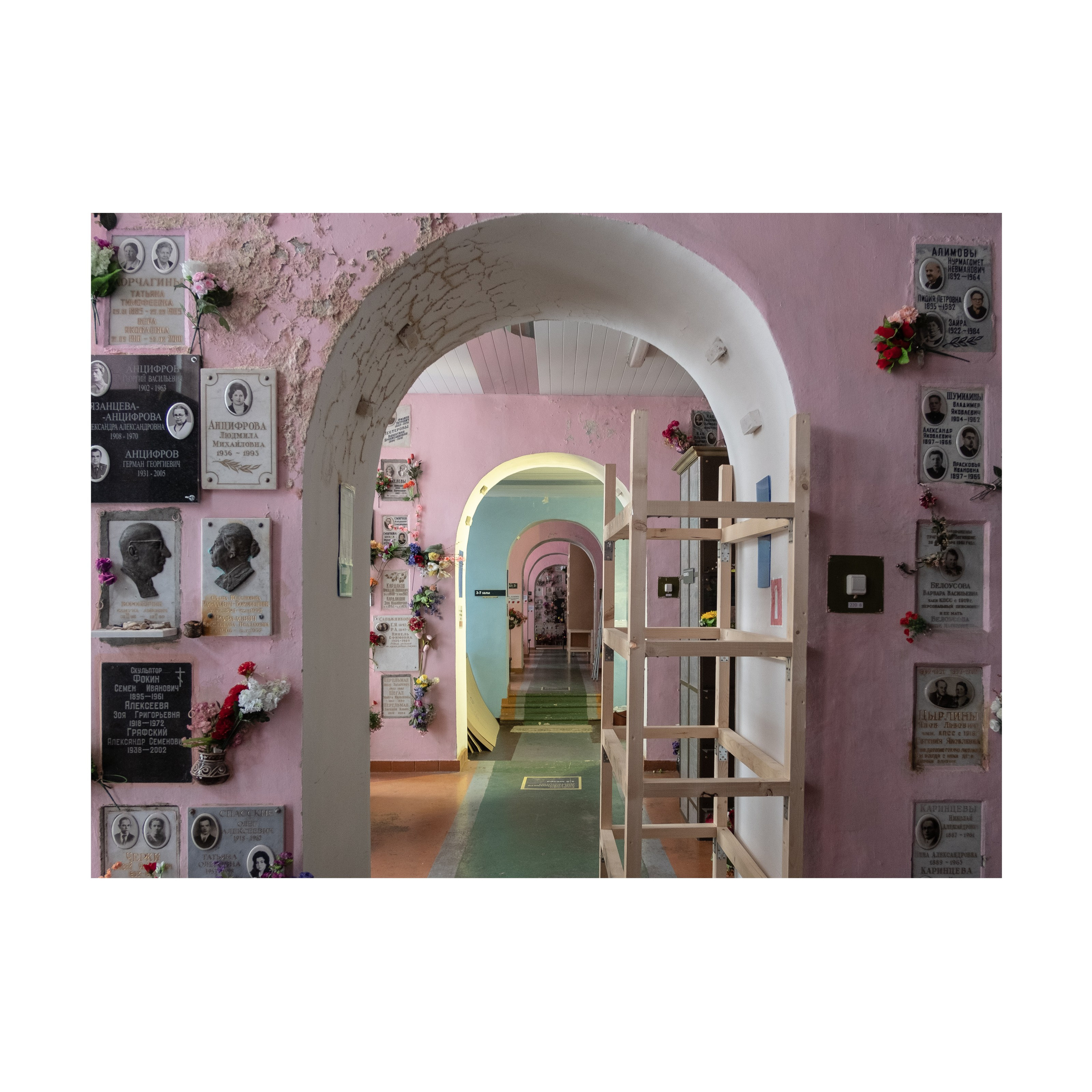 Phoenix. Nelly Elagina