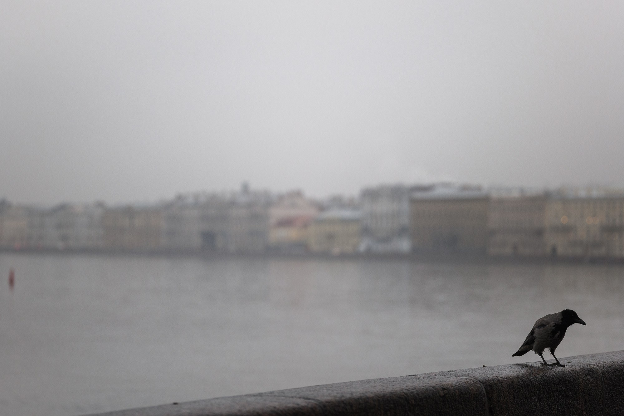 Petr Ya. Photopolygon Mag