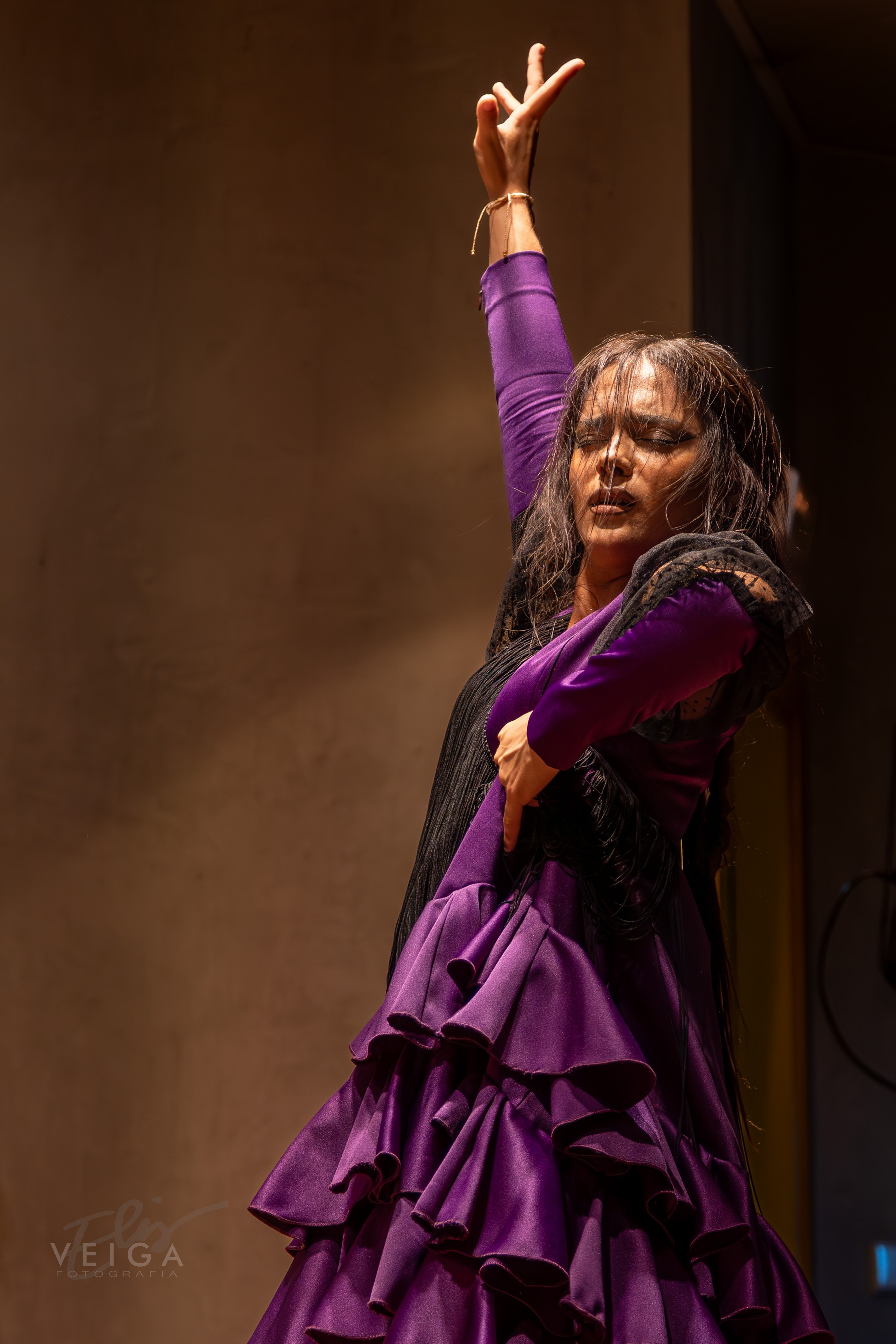 Espectáculos. Elisveiga