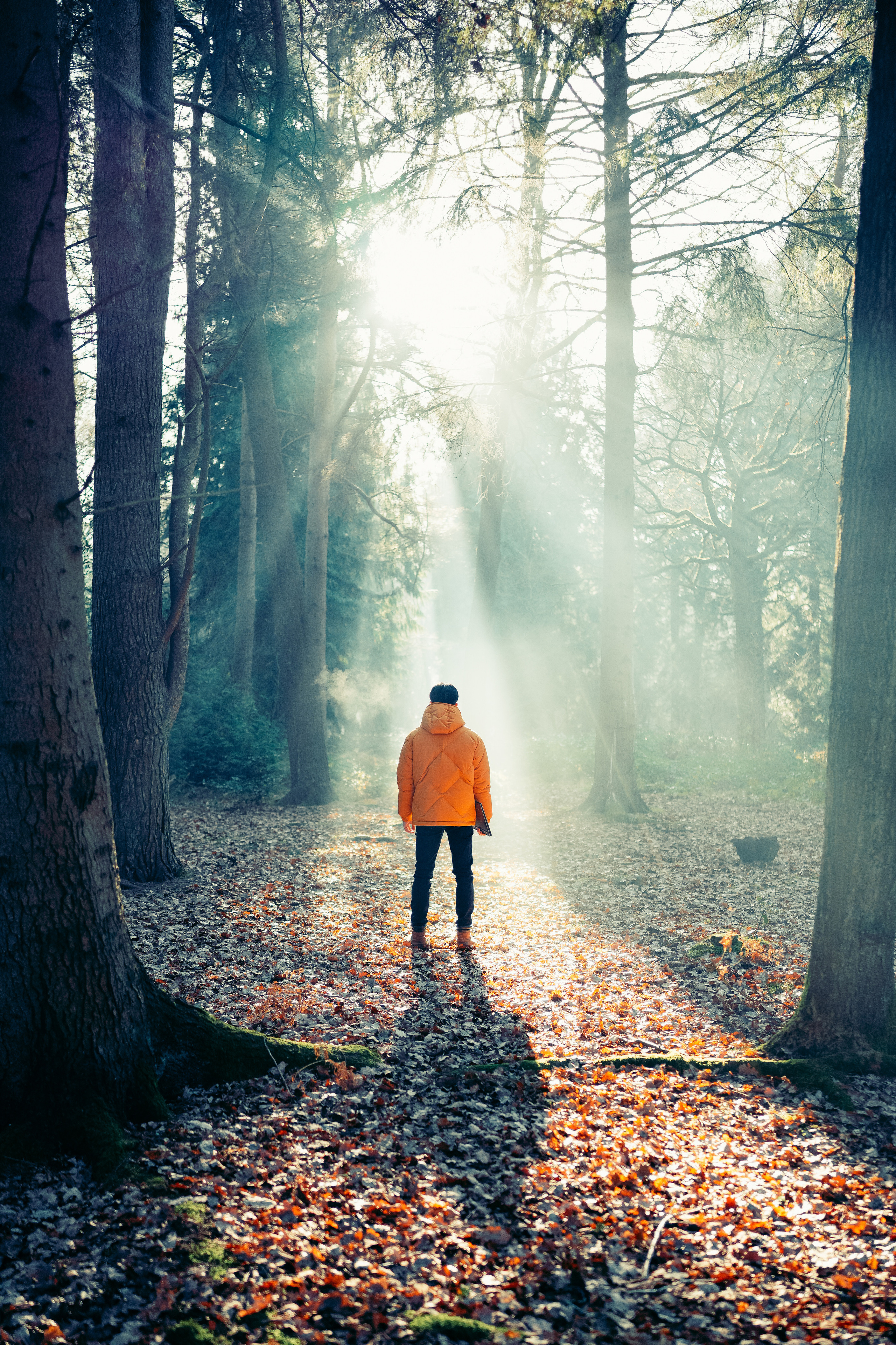 Jo-Vin. Creative Family, Brand, Boudoir and Wedding Photographer in Solihull & Birmingham Irina Zoteeva