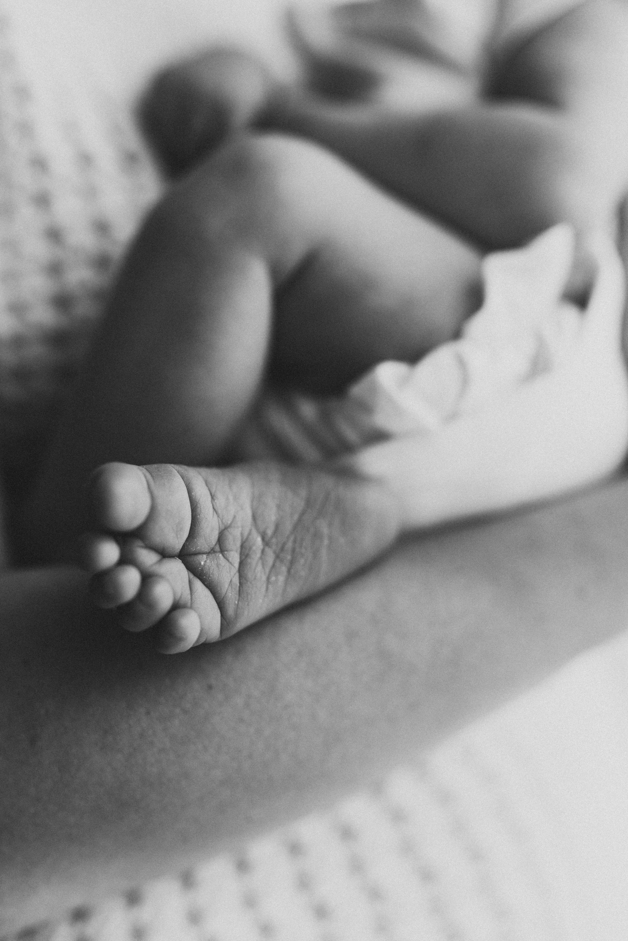 closeup newborn feet photo