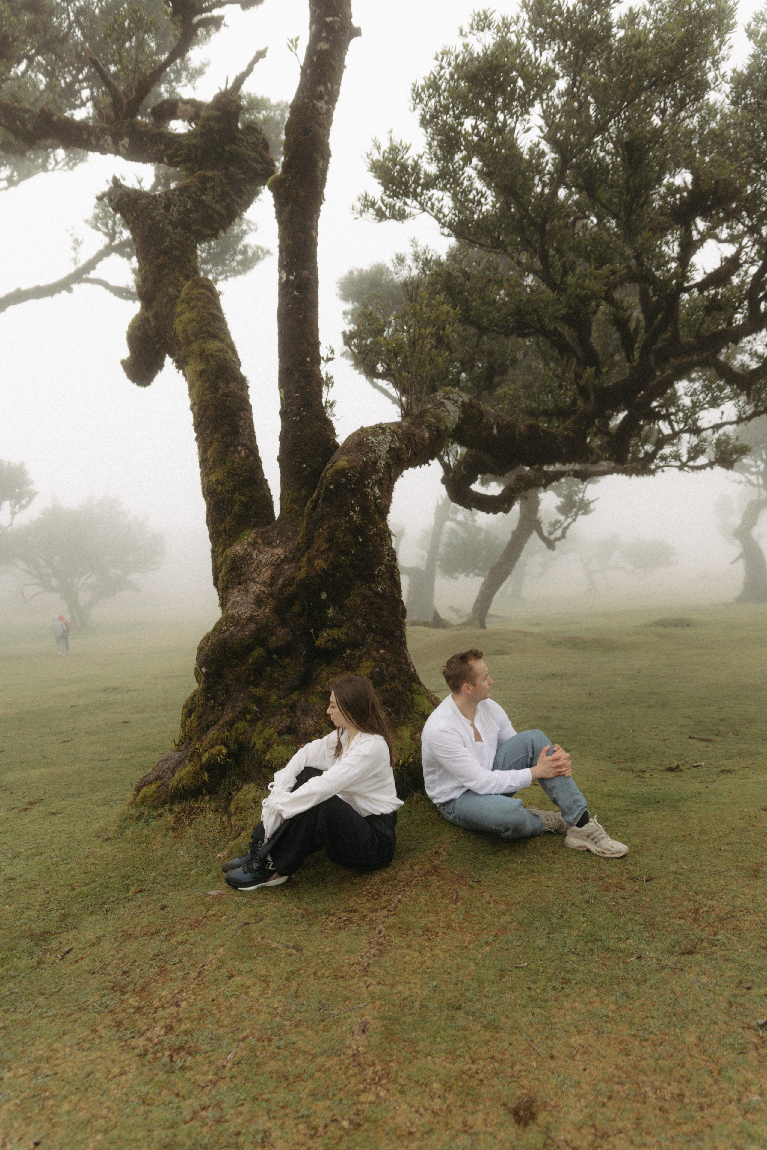 Magic of Fanal Forest. Wedding photographer and videographer based in Timisoara, Romania