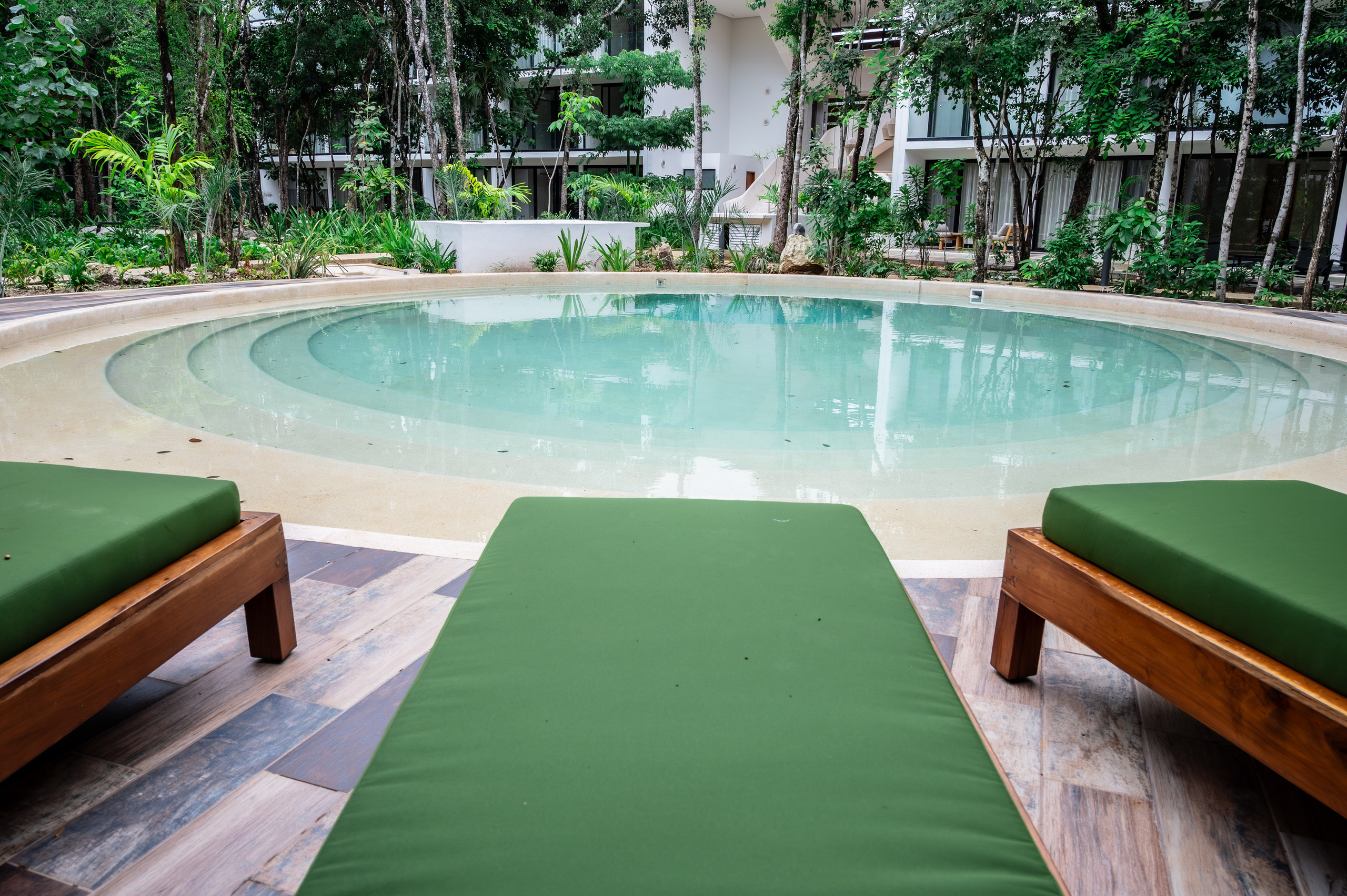 101 park. ФОТОГРАФ МЕКСИКА КИНТАНА-РОО