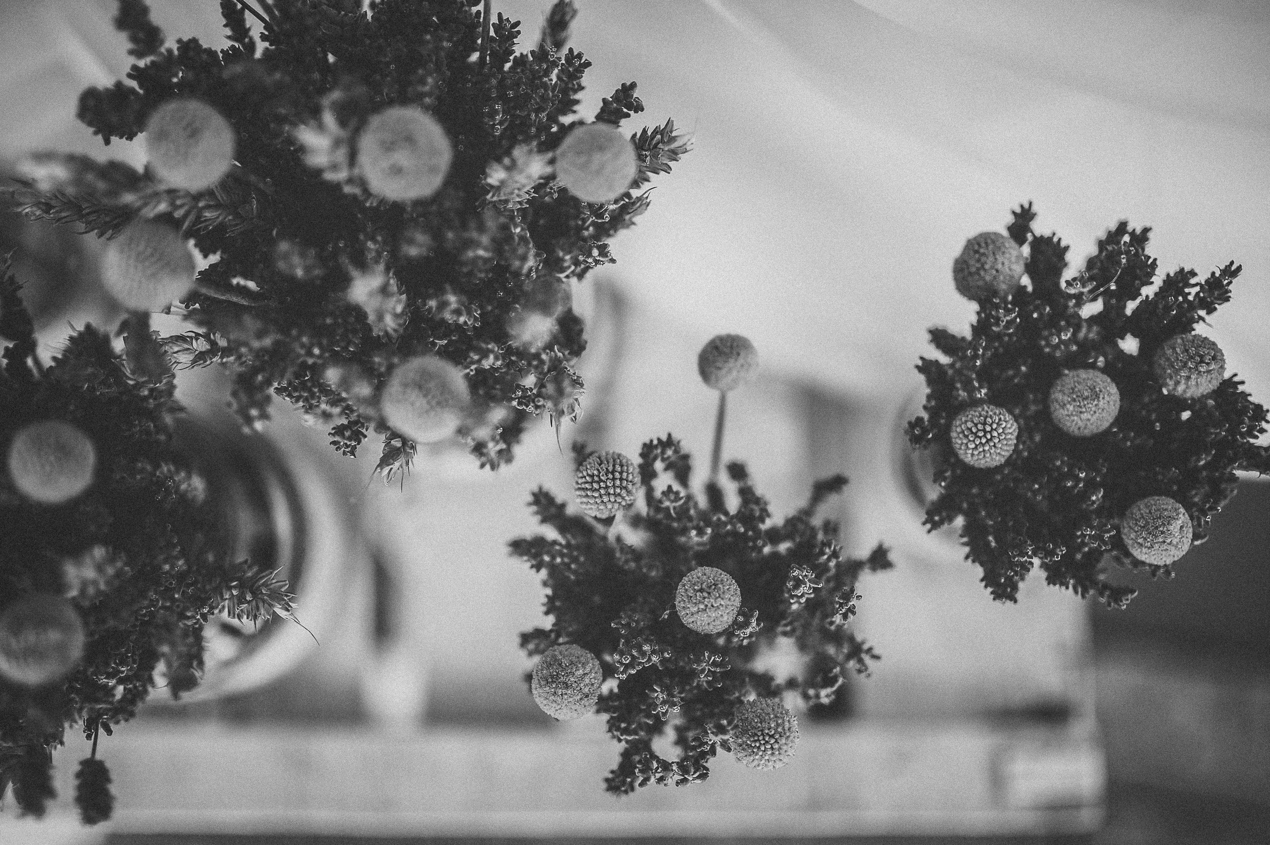 Alina și Ionuț | Fotografii Alb-Negru în Alba Iulia | Alex Vasilie. Alex Vasilie | Fotograf de Nuntă, Botez și Portret | Cluj-Napoca