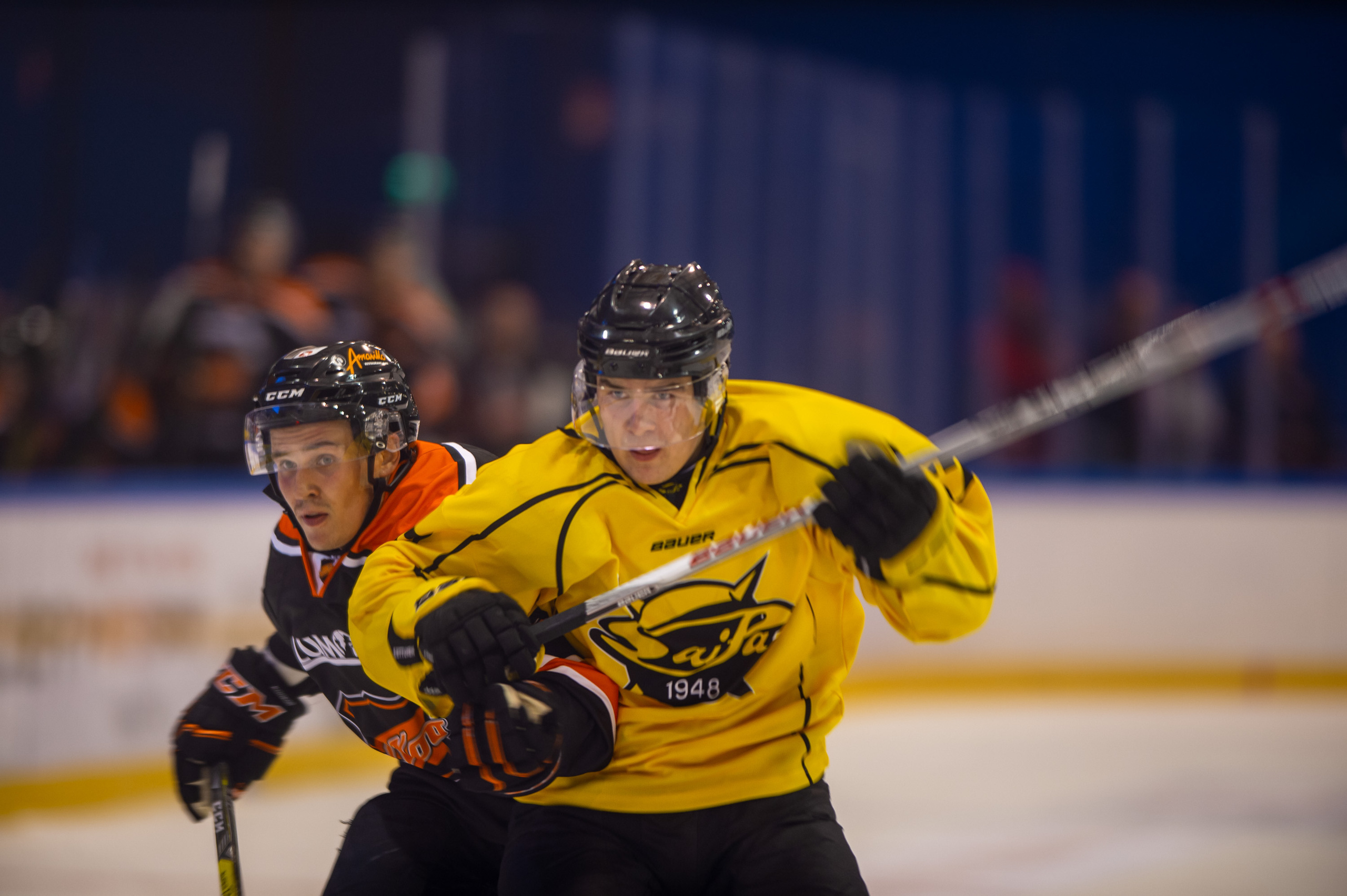 Lehdelle. Valokuvaaja Lahti, Helsinki Elena Salonen