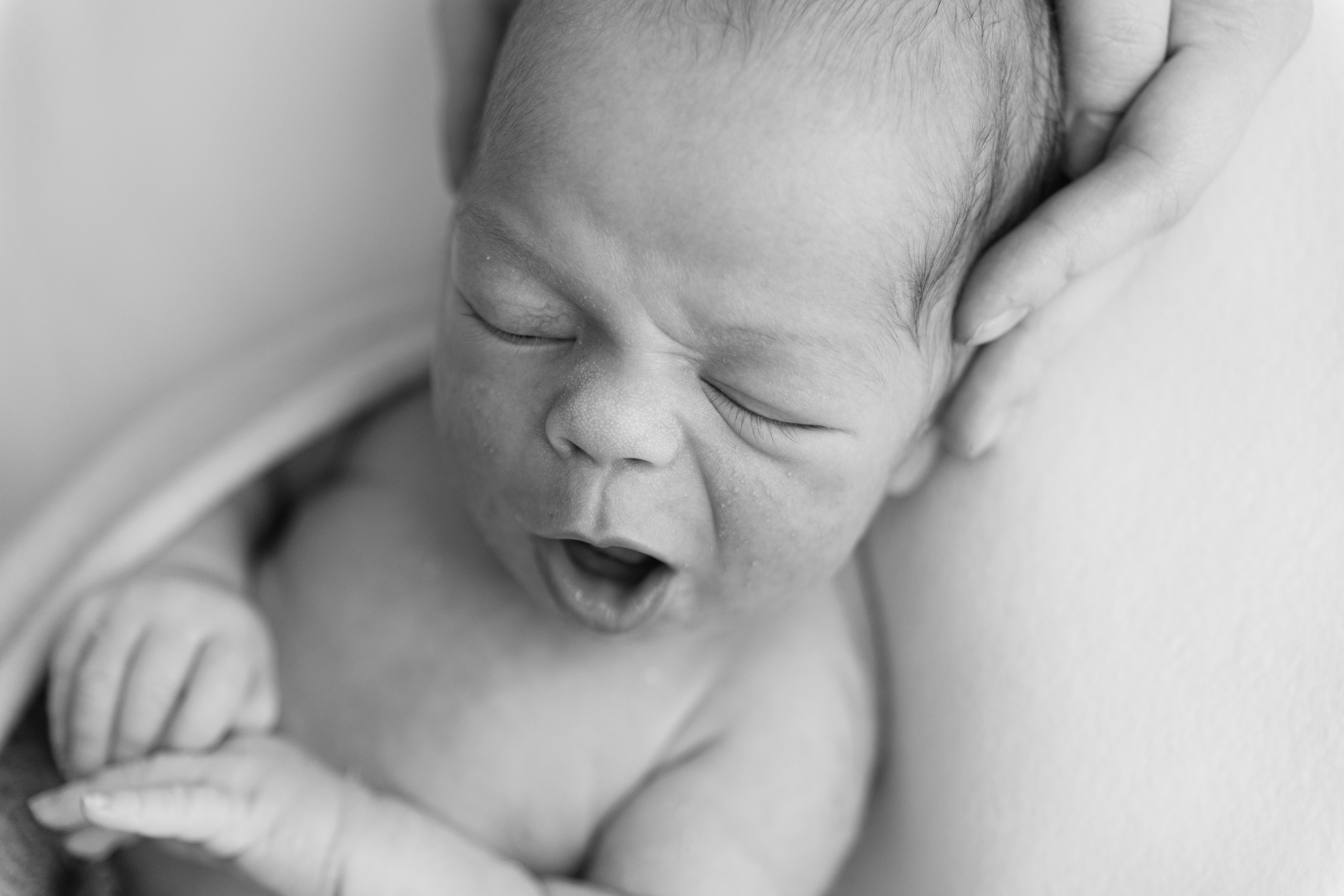 Fotografka Andrea Hlaváčová / Karlovarský kraj / Karlovy Vary Sokolov