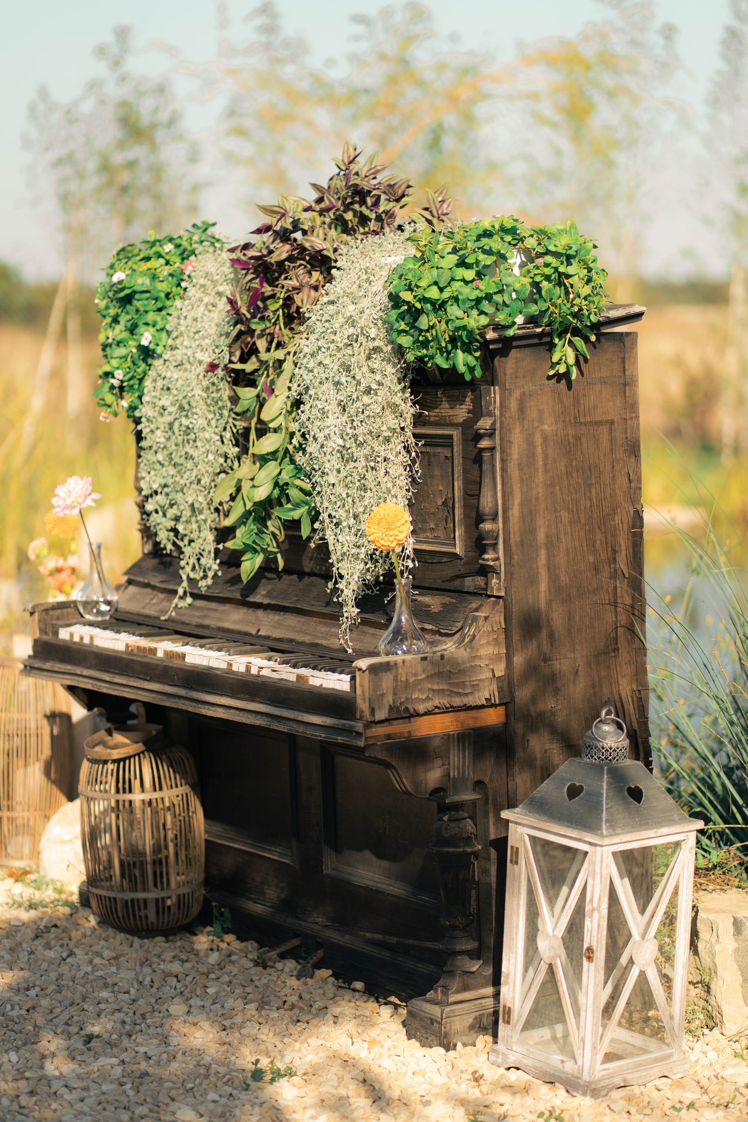 Fotograf profesionist Bucuresti - Tudor Banescu