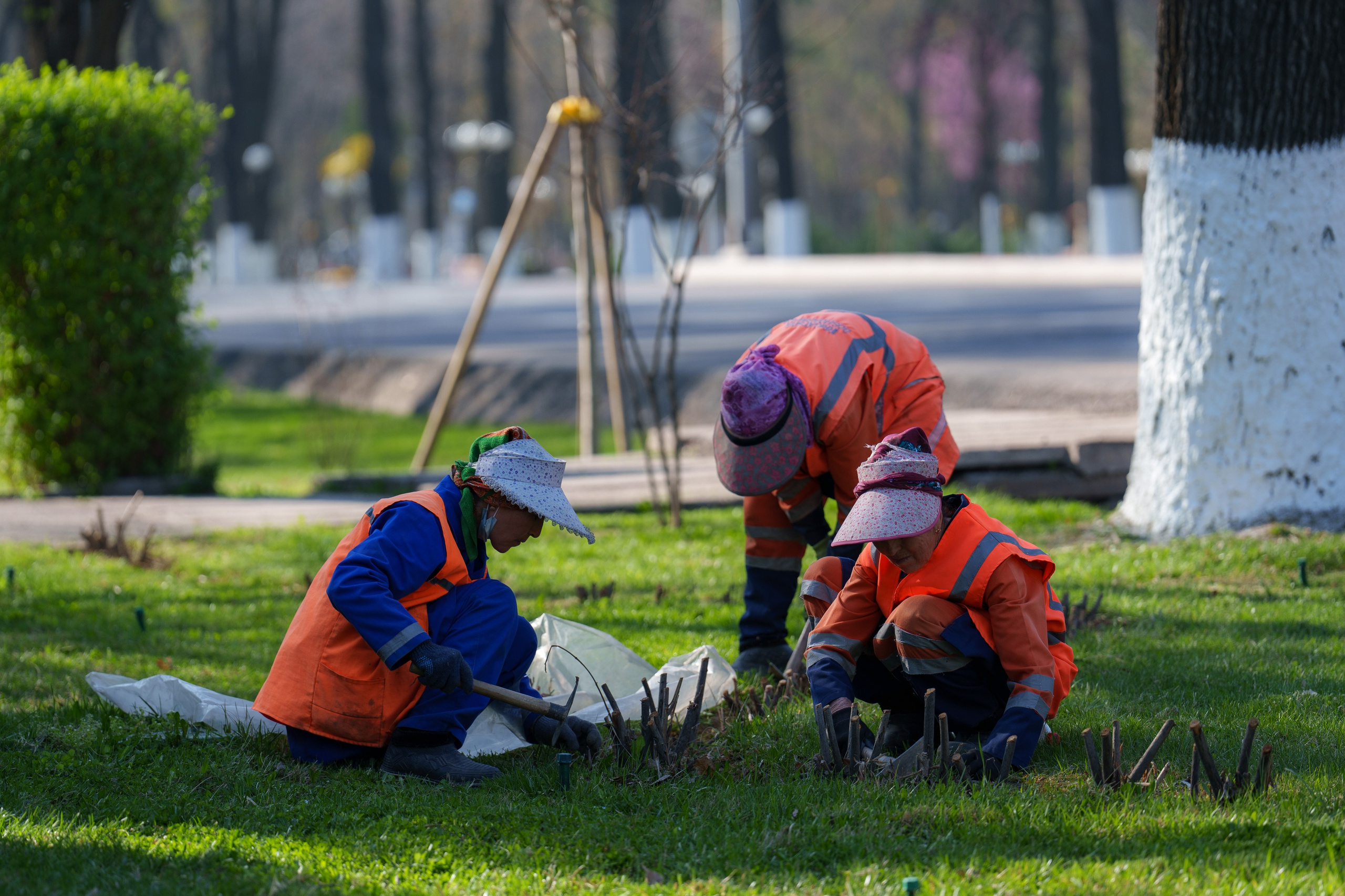 Как работают сотрудники благоустройства. Георгий Намазов | Фотограф в Ташкенте