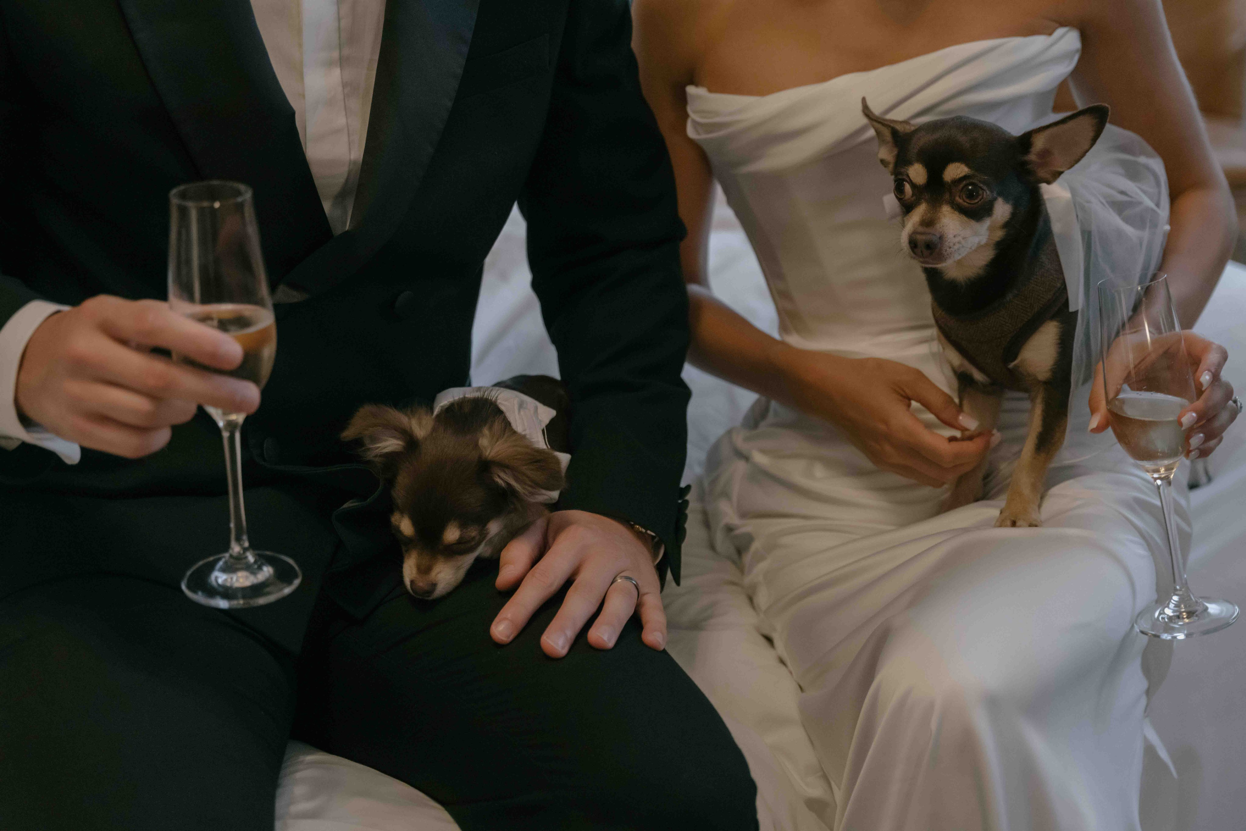 Intimate Wedding at Marylebone Town Hall, London | Small Wedding Story. London Wedding Photographer | Engagement & Proposal Photography by Natasha Ferreira