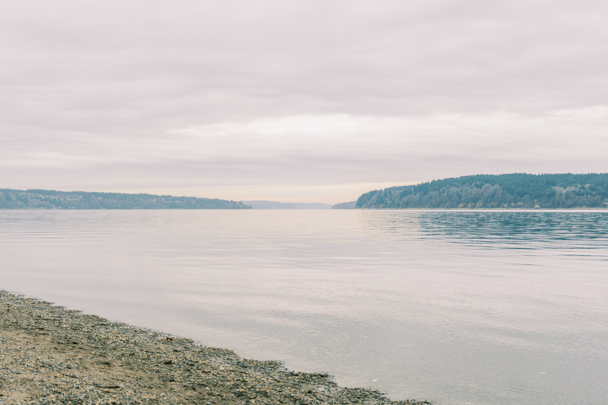 The love story of Elena and Roman / January 2024. EVAN ARISTOV WEDDING PHOTOGRAPHY — Seattle Wedding Photographer