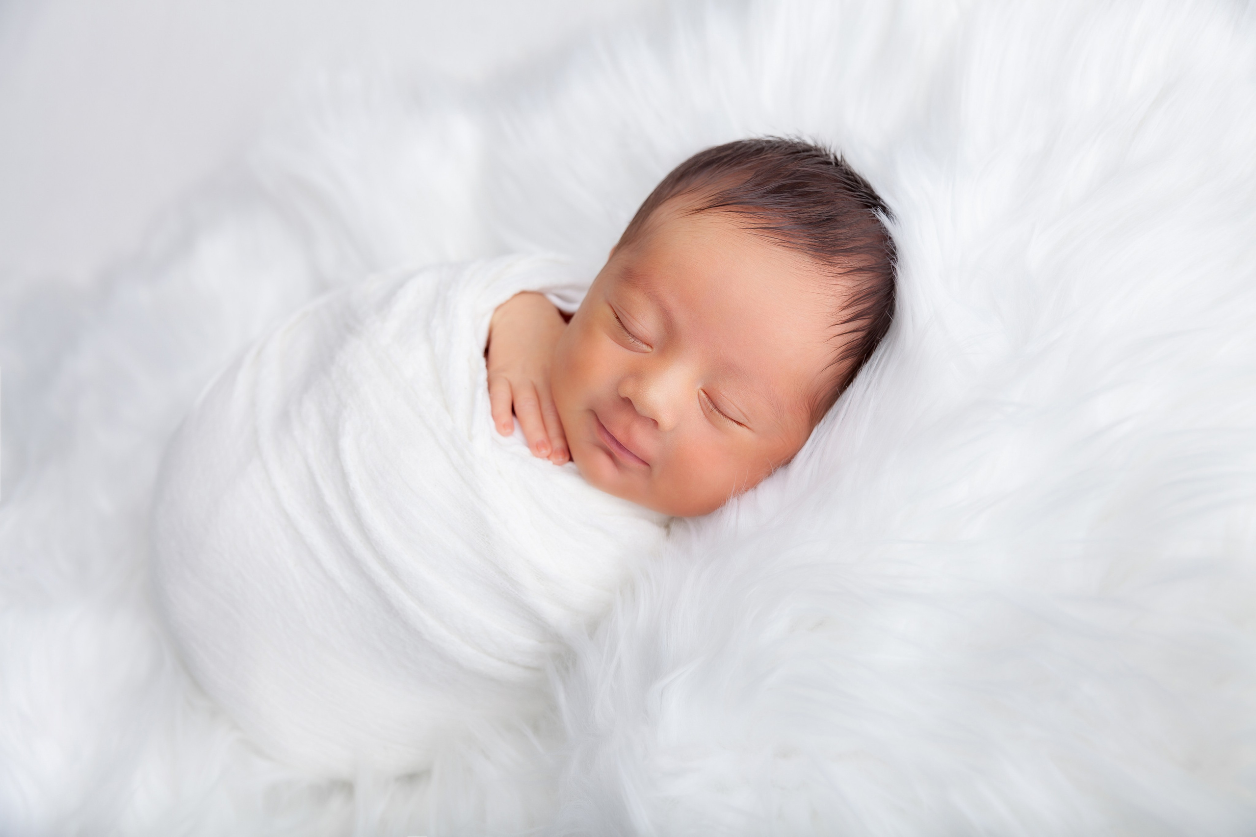 Services. Marina Pravda Photography San Francisco Bay Area