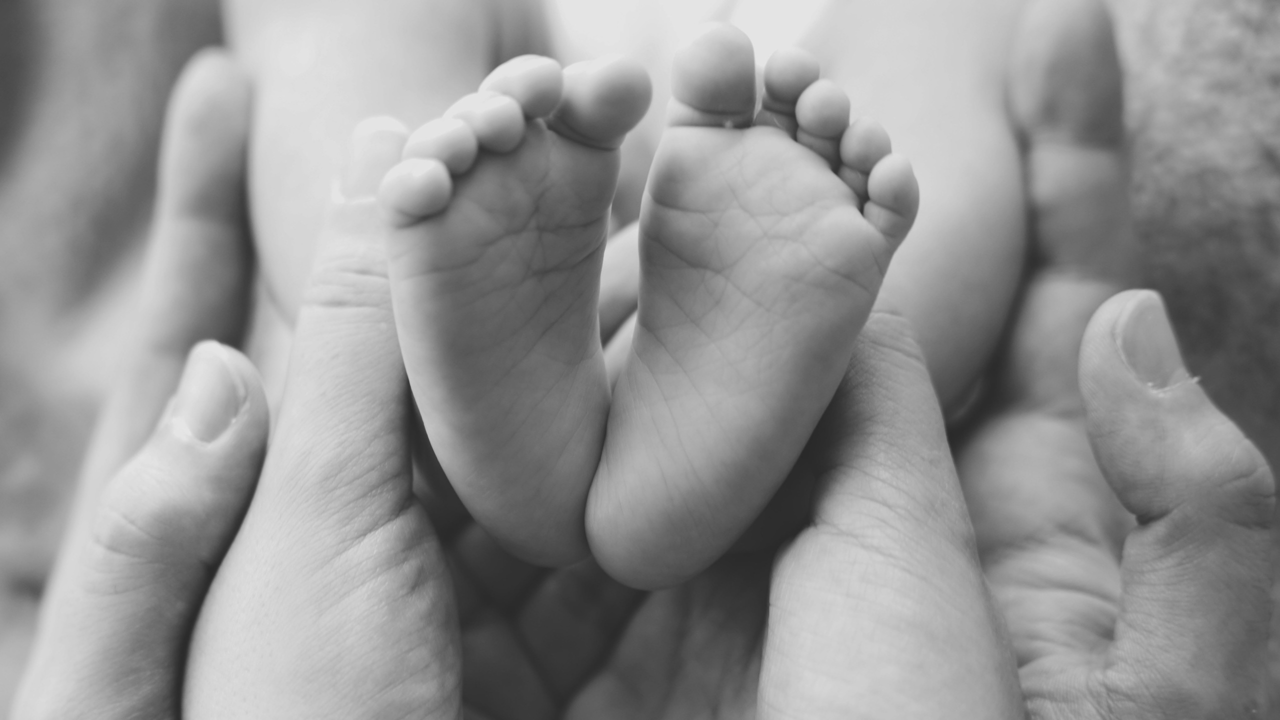 Family, couple and newborn photography in Toronto and GTA