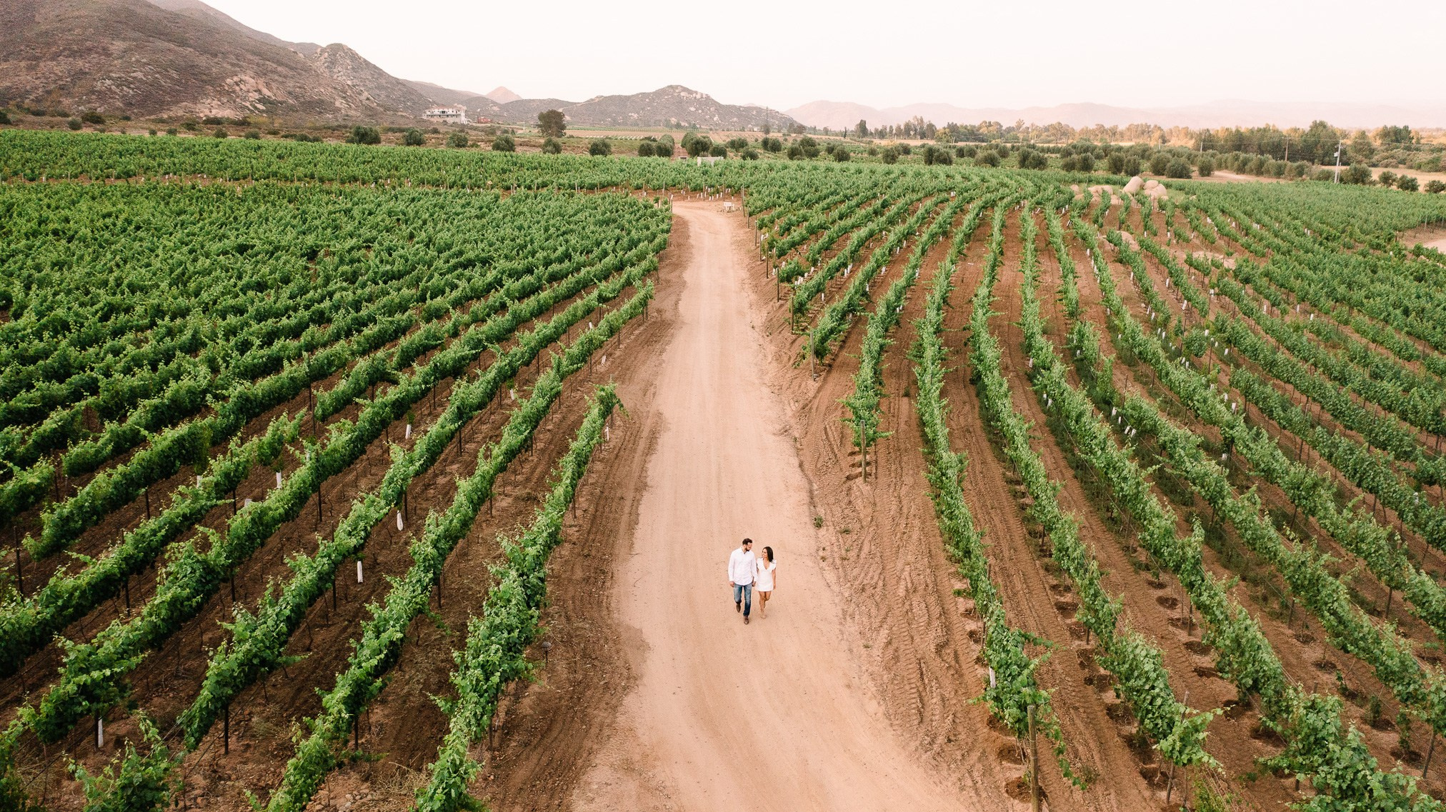 Hilo Negro Valle de Guadalupe Save The Date Ruth y Matt. Estudio de fotografia en Tijuana