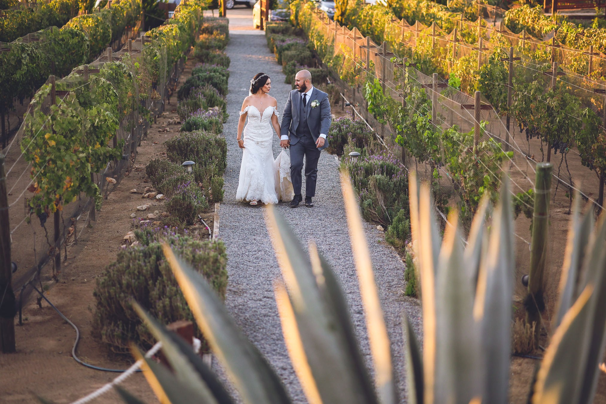 Rancho Carrizo + Luna del Valle Valle de Gpe Boda Ariadna y Javier. Estudio de fotografia en Tijuana