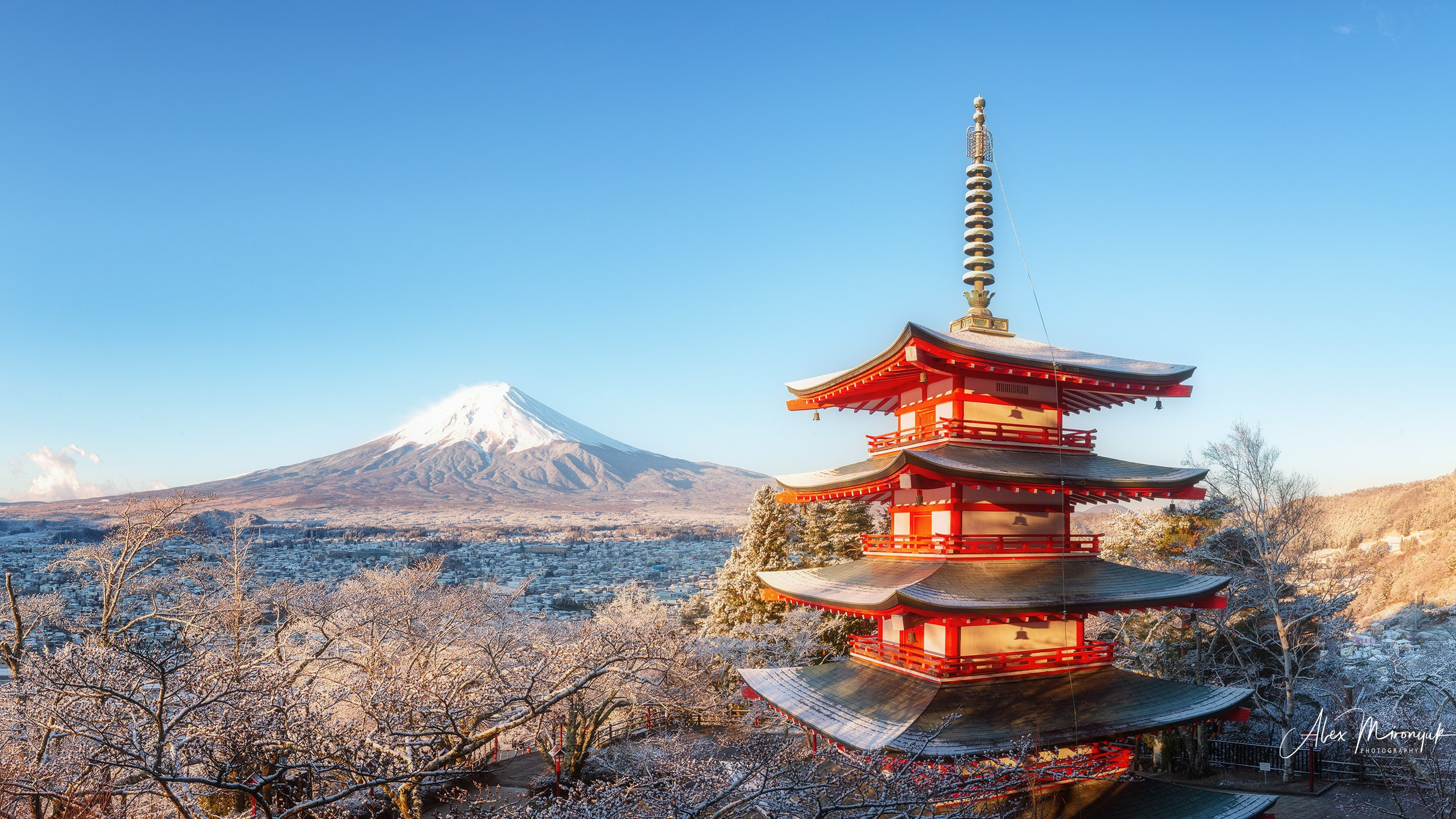 Autumn Colors of Japan. Pet, Senior, Landscape, portrait studio, photographer in Miami and Sou