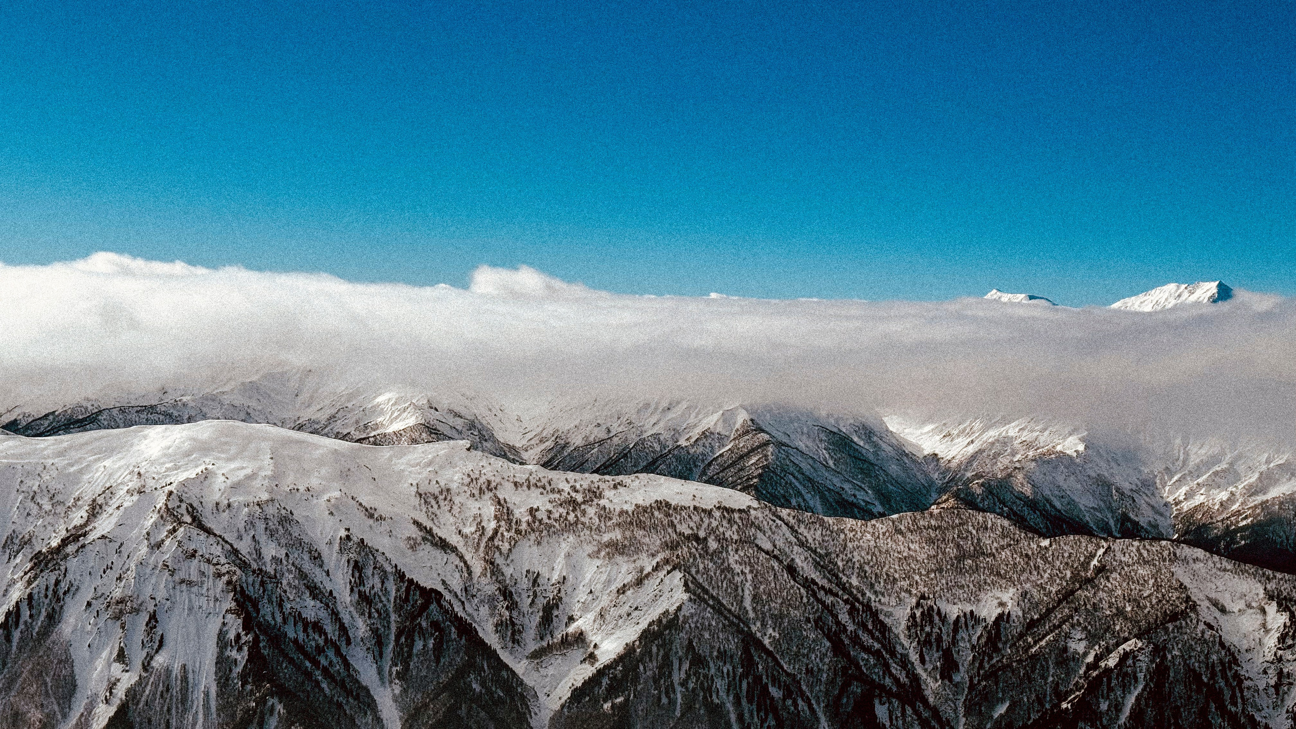 Georgia Snow Pack - Tavs Online Gids. Video shooting and creating with phone, iPhone Video School