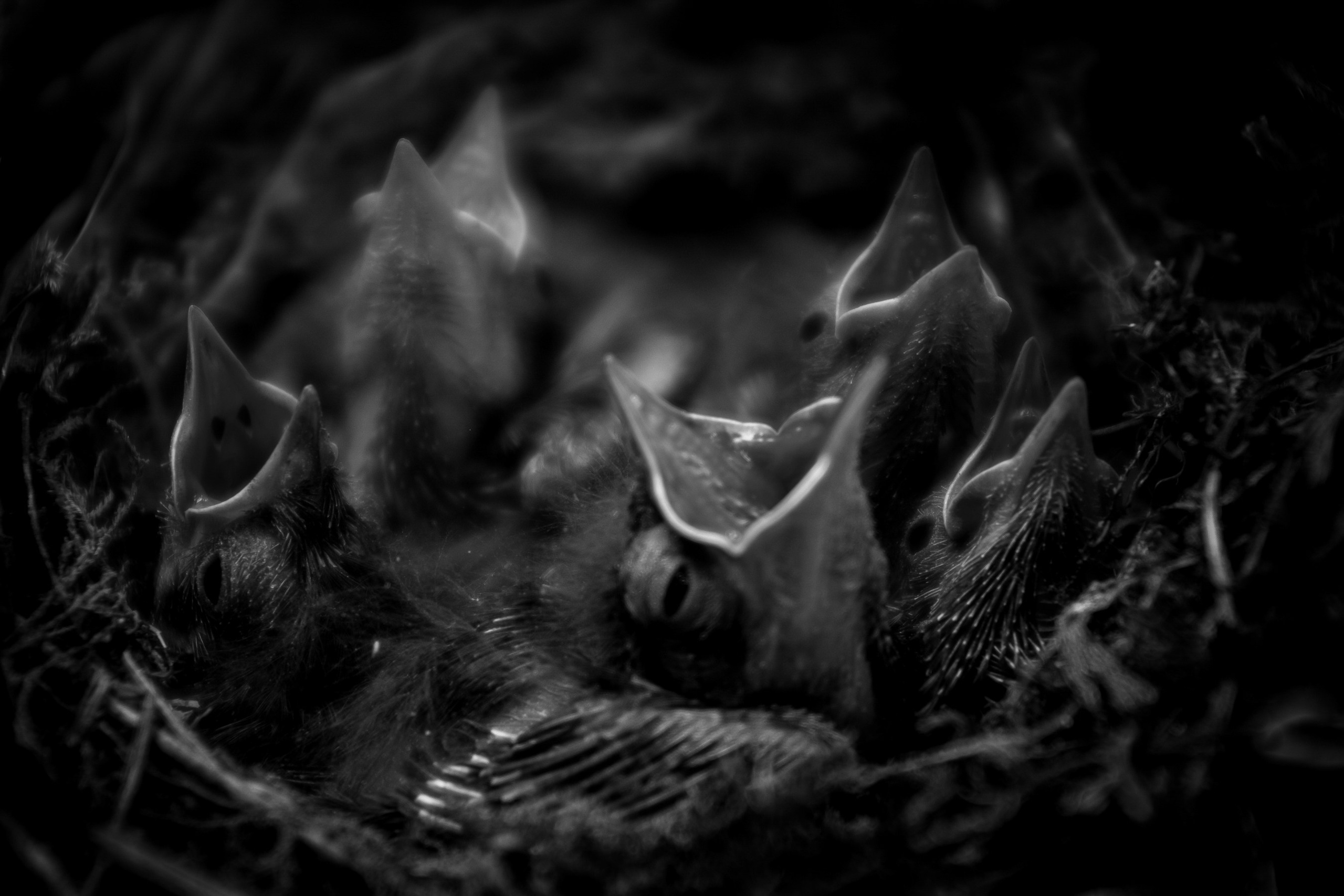 “Mob.” (Military mobilization), 2016. Areg Balayan — Photographer/Visual Artist