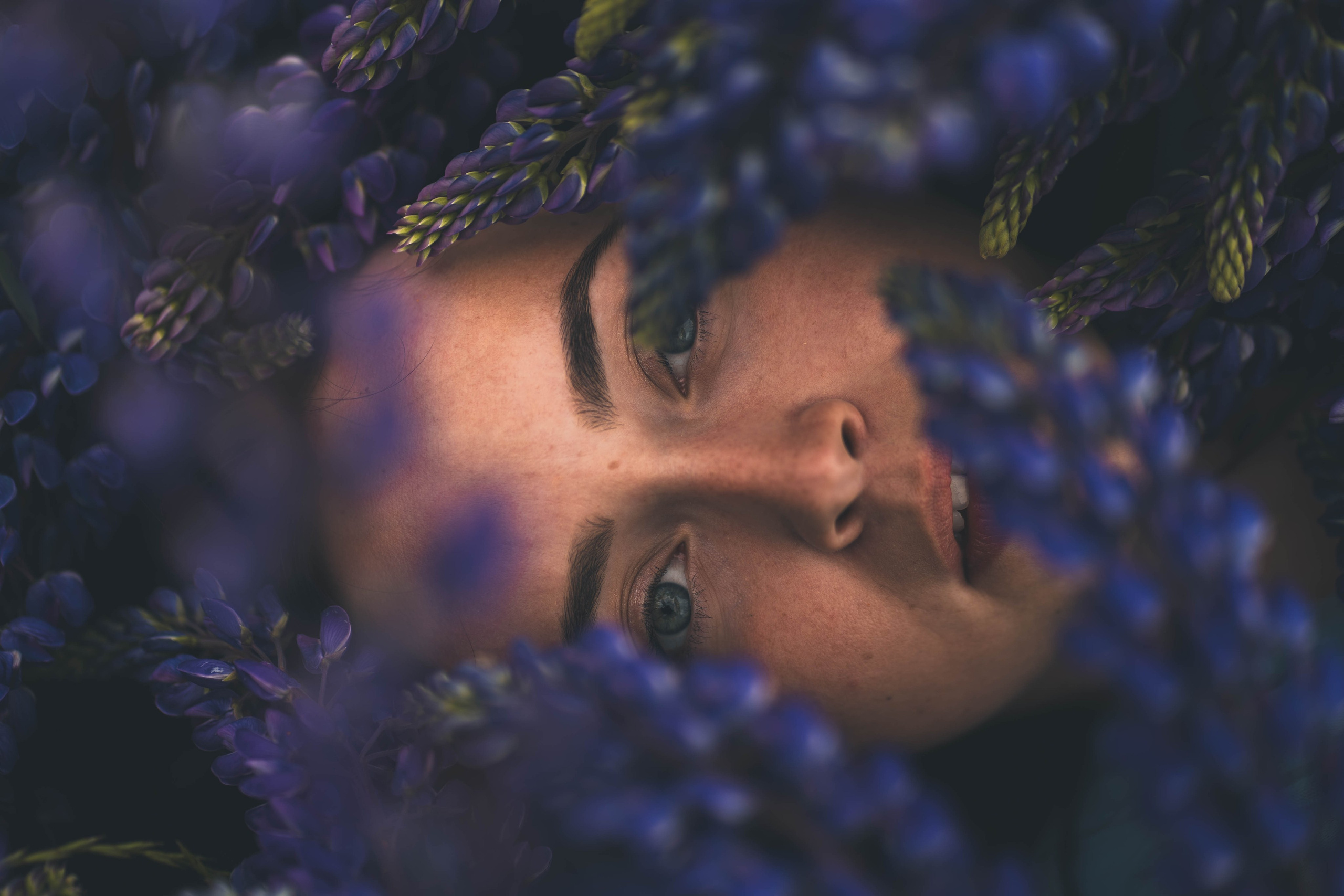 Fotografija — Olga Bojarin