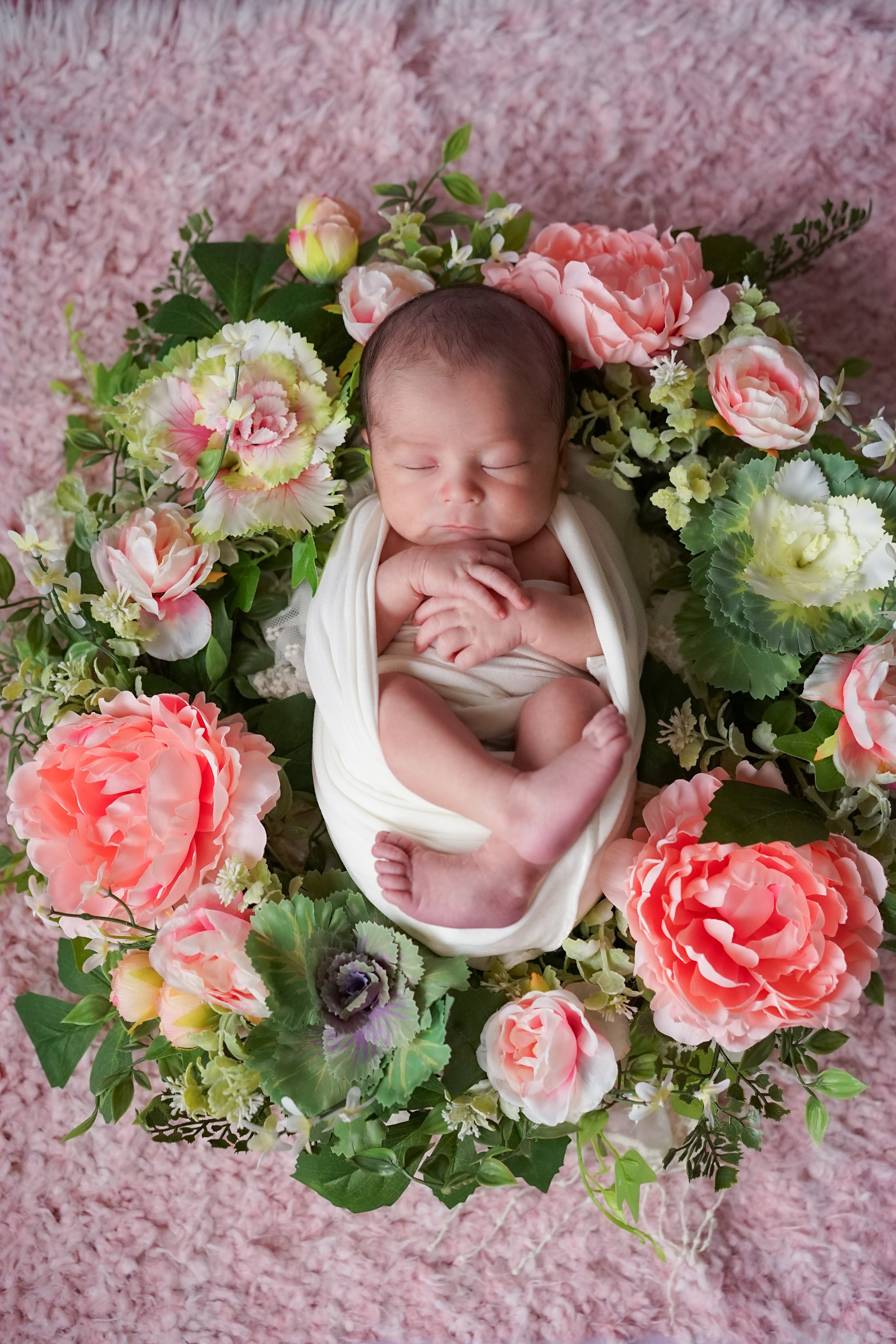 Posed Newborn. Maternity, family and newborn photography in San Francisco Bay Area