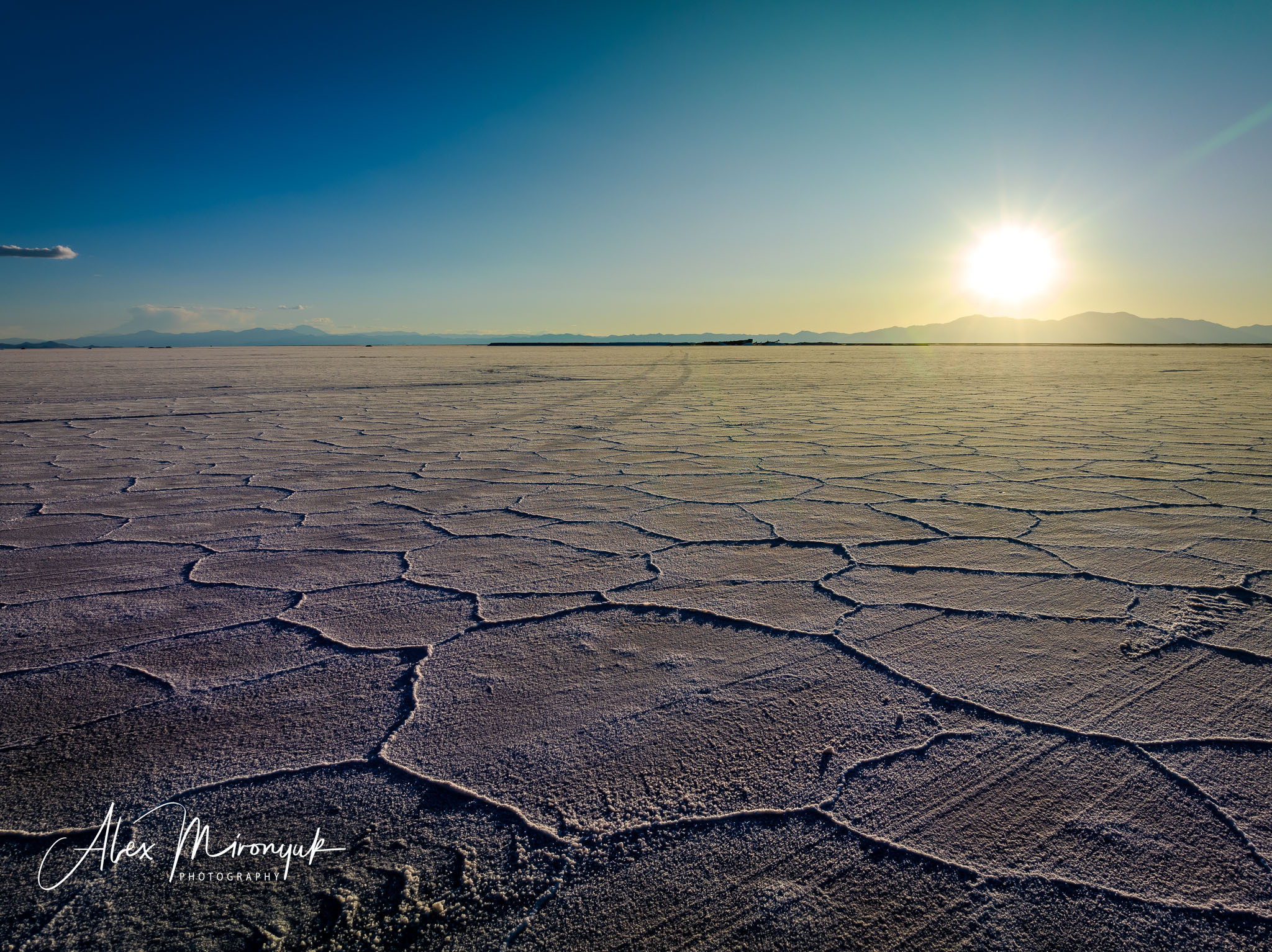 Unknown Northern Argentina. Pet, Senior, Landscape, portrait studio, photographer in Miami and Sou