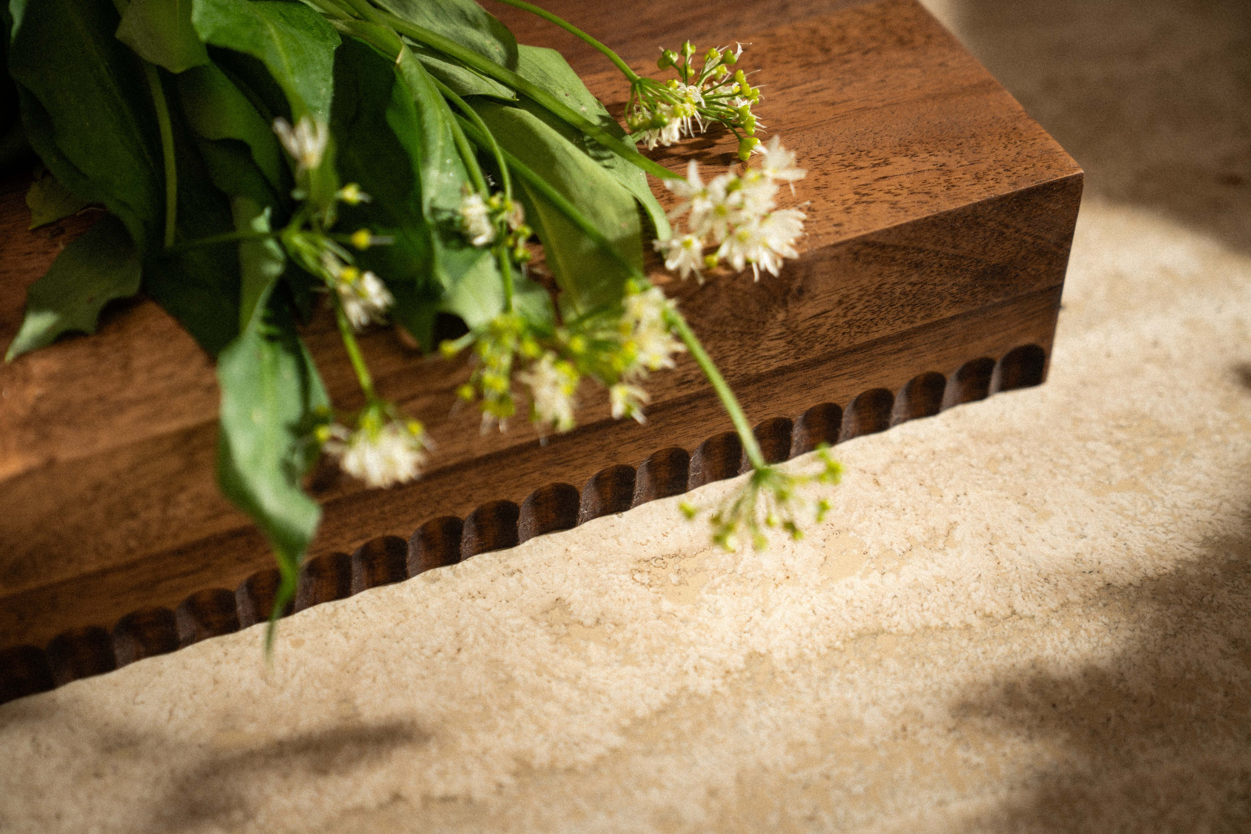 Waga Garda Collection Editorial. Hamza Makić Cinematographer, Photographer & Visual Artist