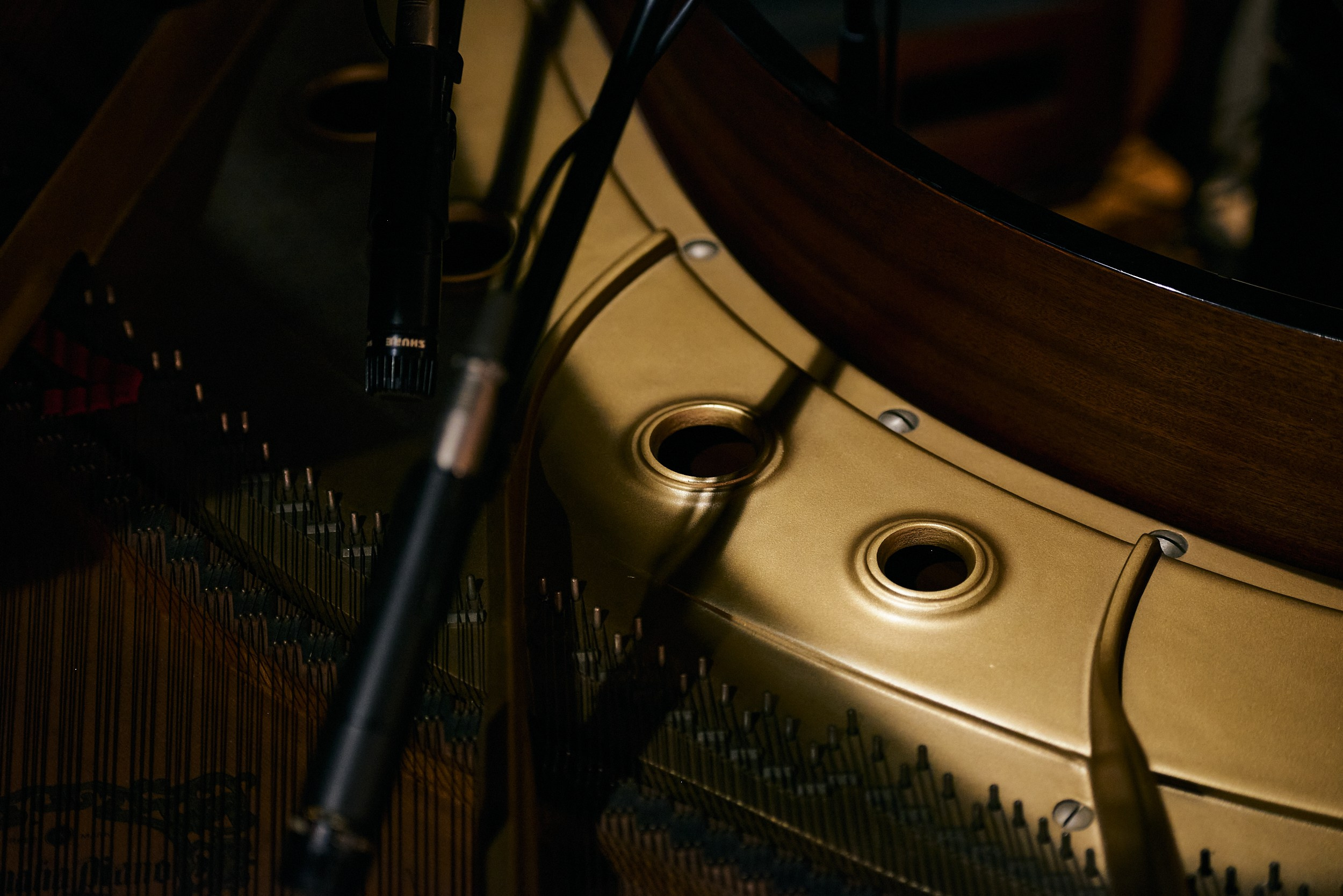 The Music Lovers. MT