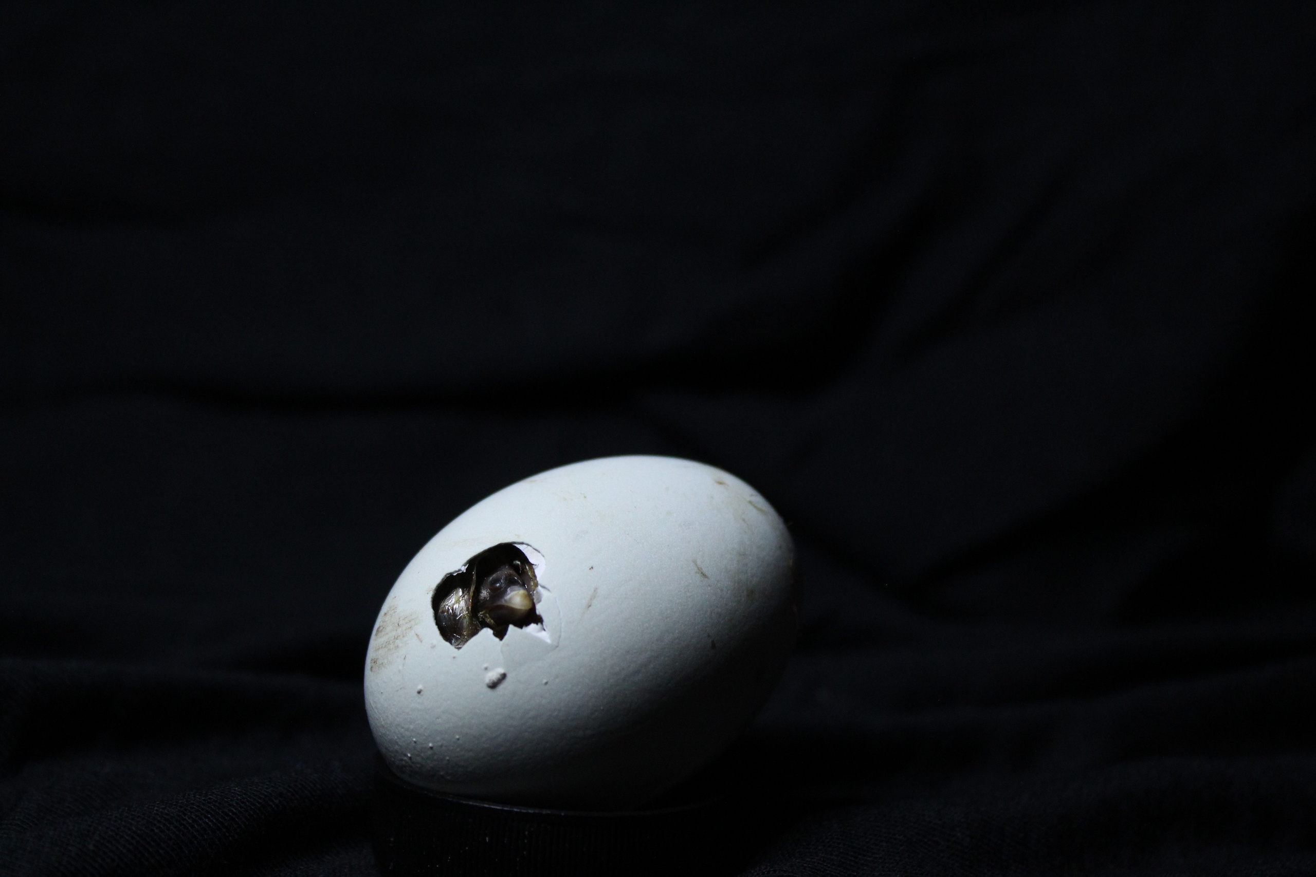 Dopo la pioggia, arriva il sole. Stanislava Novgorodtseva — Photographer | Visual Artist | Educator