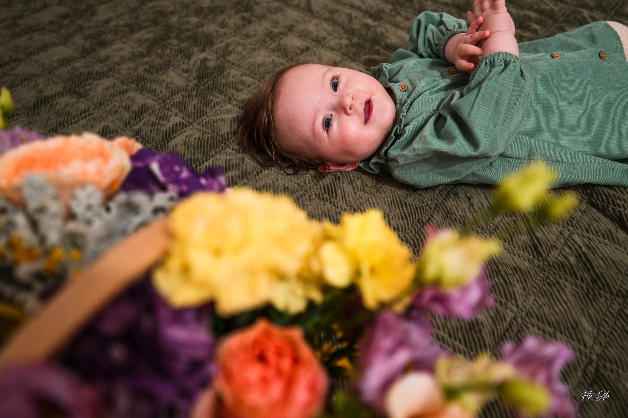 🌻 Sigrid Briana Maria | Christening Day ❤. Fotografie & Videografie de nuntă în Timișoara