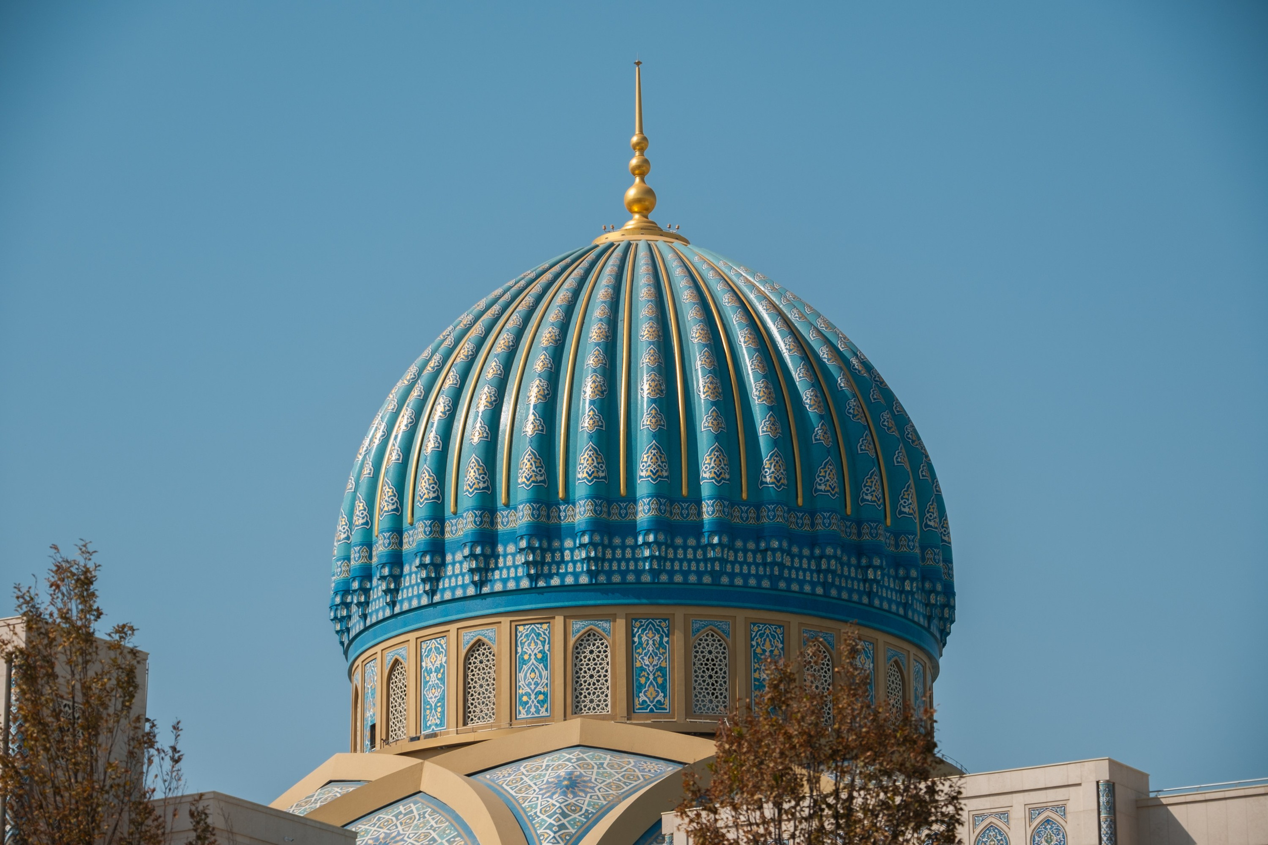 Обзор на объектив 16-300мм Sigma. Личные впечатления и опыт использования. Фотограф Григорий Кравец