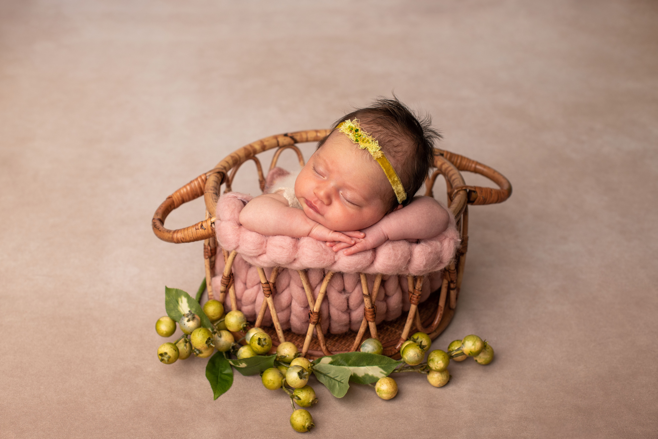 Sacramento newborn photographer. Newborn photographer Sacramento