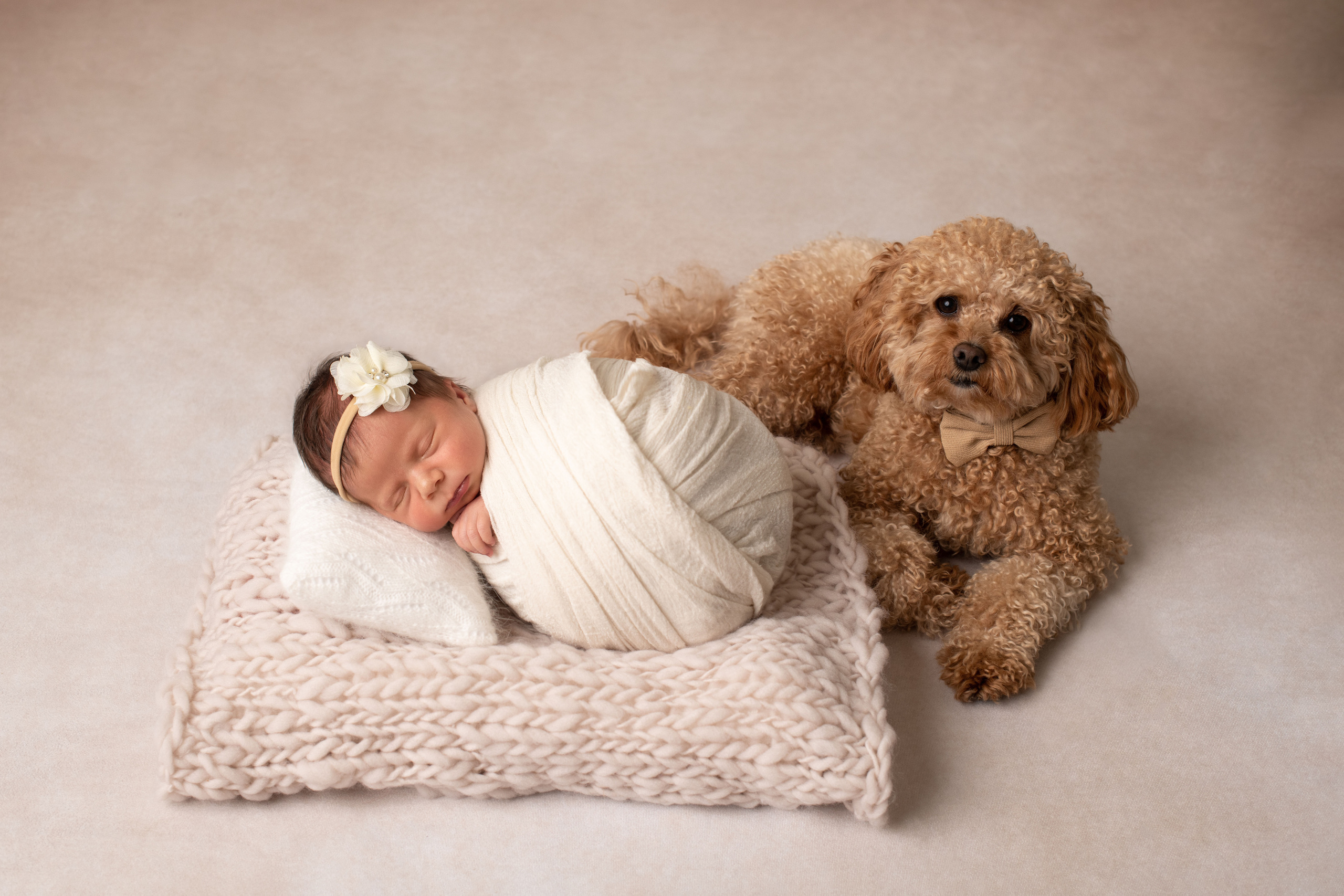Newborn photoshoot baby 9 days old. Newborn photographer Sacramento
