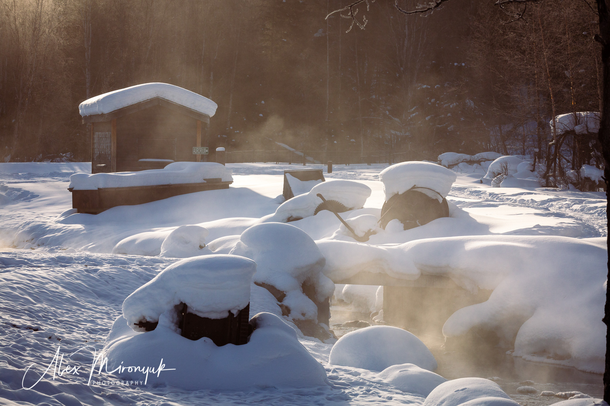 Ice Caves Adventure. Pet, Senior, Landscape, portrait studio, photographer in Miami and Sou