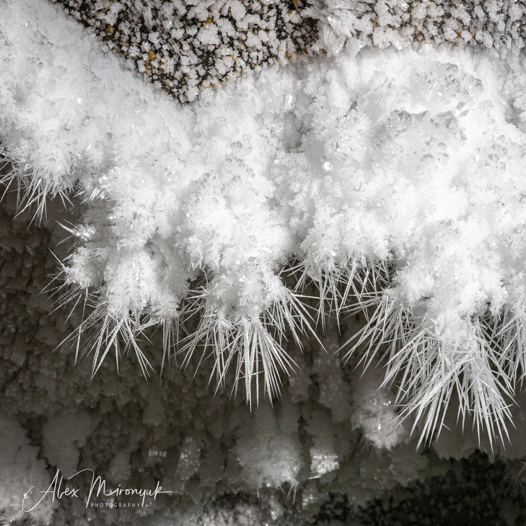 Ice Caves Adventure. Pet, Senior, Landscape, portrait studio, photographer in Miami and Sou