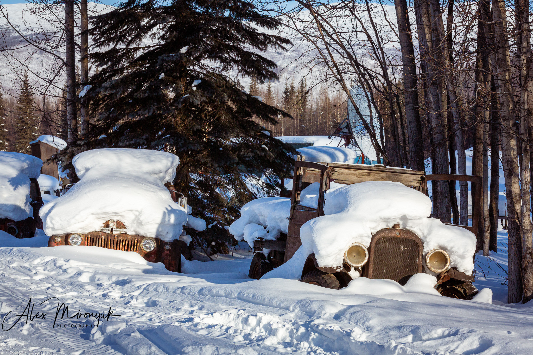 Ice Caves Adventure. Pet, Senior, Landscape, portrait studio, photographer in Miami and Sou