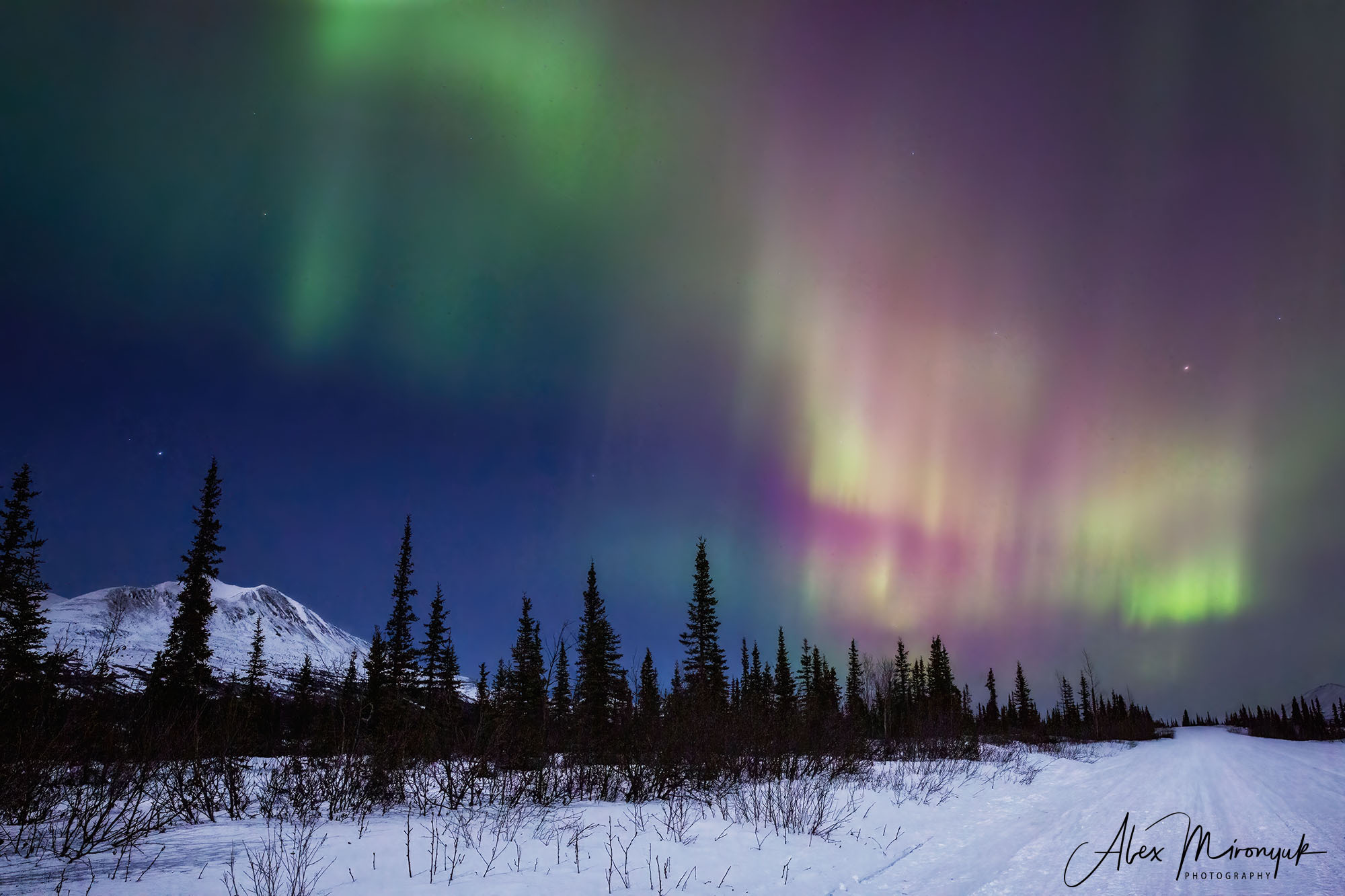 Ice Caves Adventure. Pet, Senior, Landscape, portrait studio, photographer in Miami and Sou