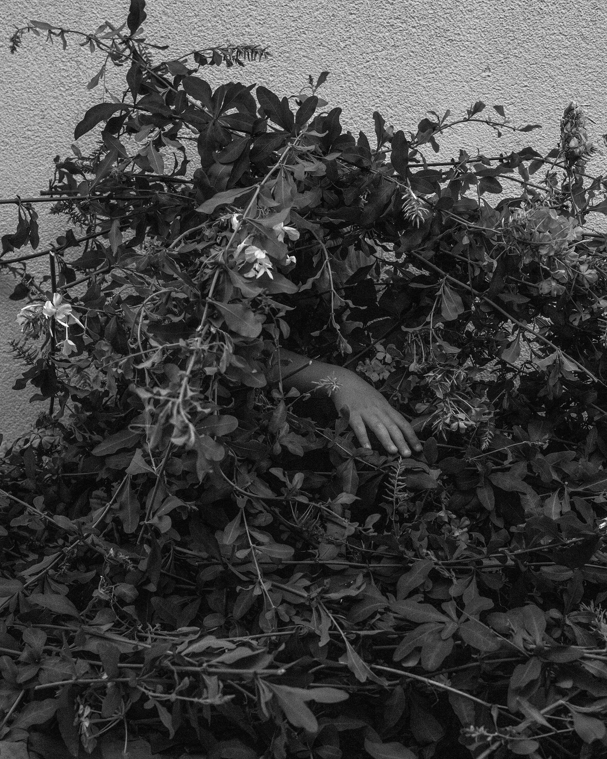 Katya Bogachevskaya — independent curator, lecturer