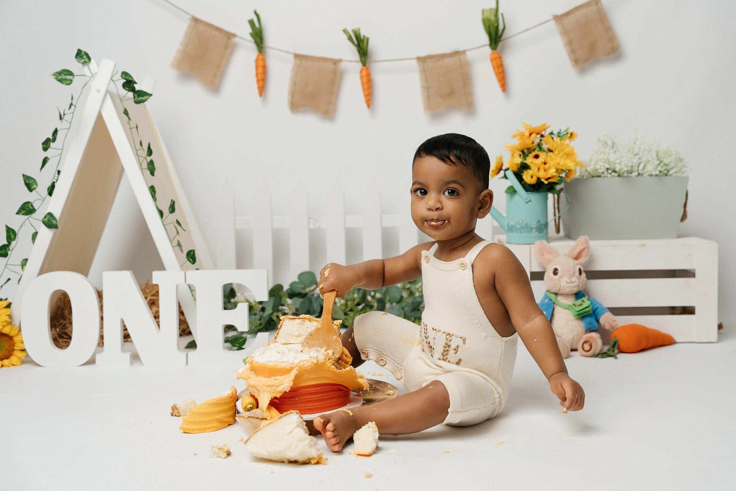 Peter rabbit cake smash session. Newborn and family photographer. Hills District. Sydney