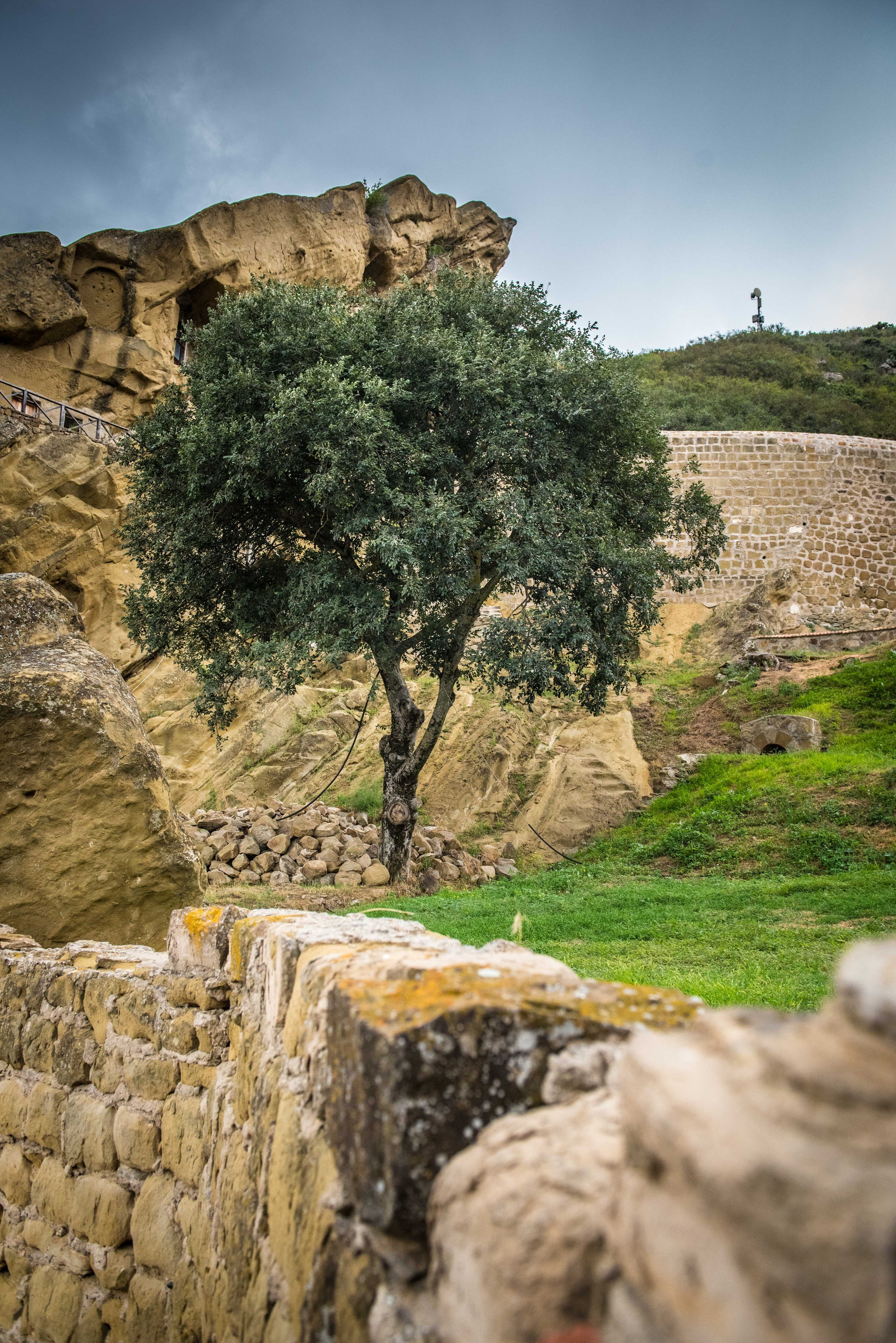 Gareji. Photographer in Tbilisi