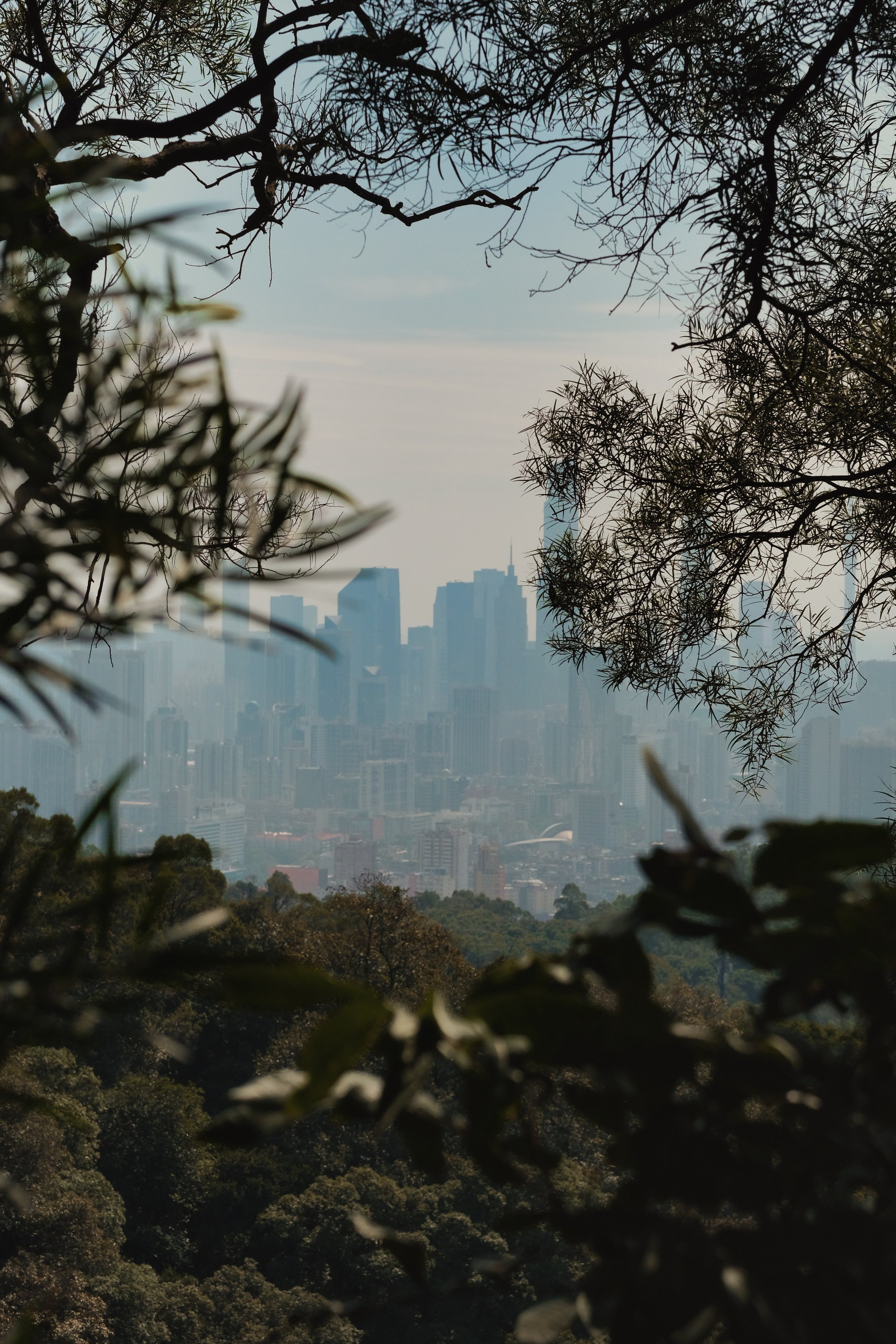 "City Through the Trees" Guangzhou, China