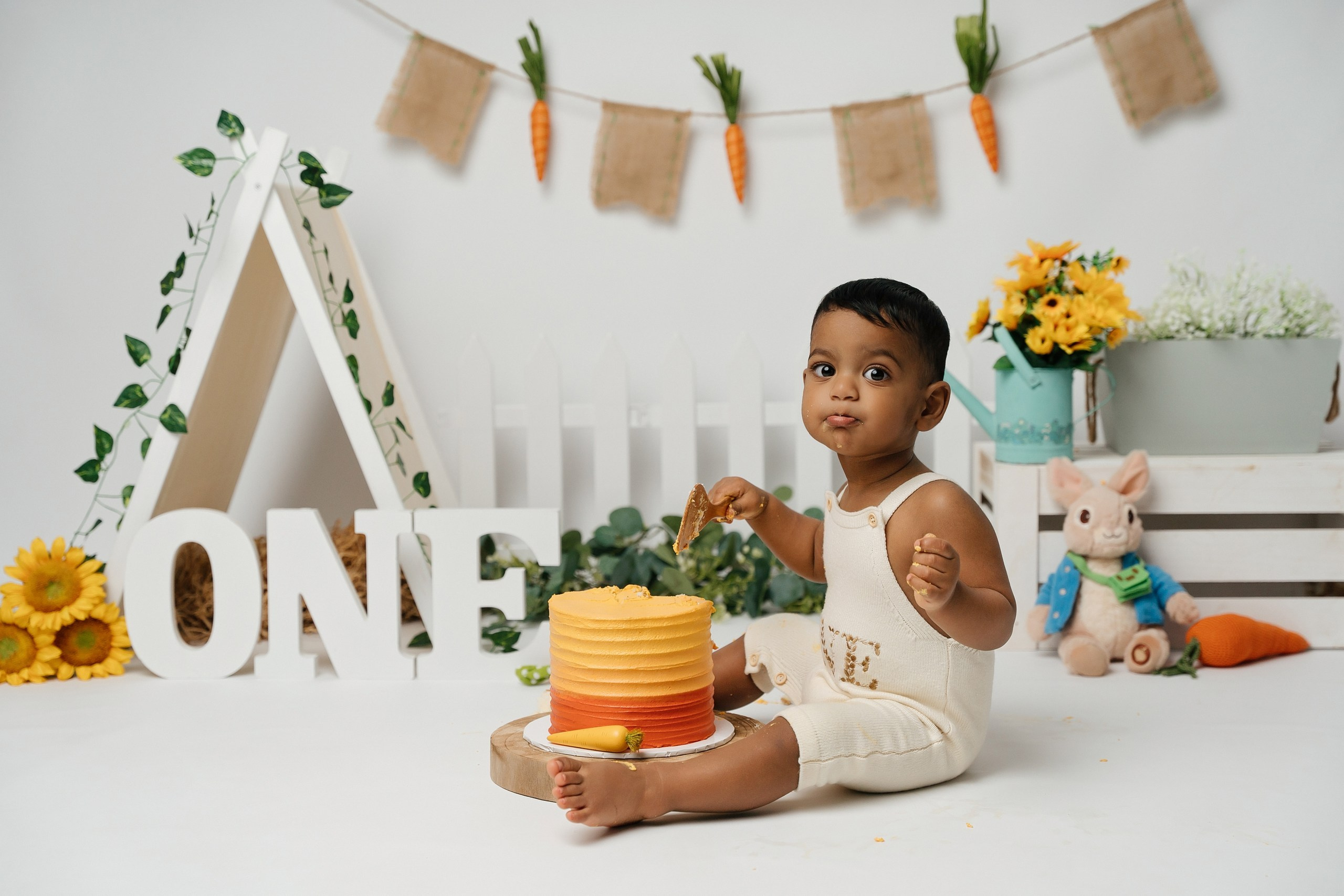 Peter rabbit cake smash session. Newborn and family photographer. Hills District. Sydney