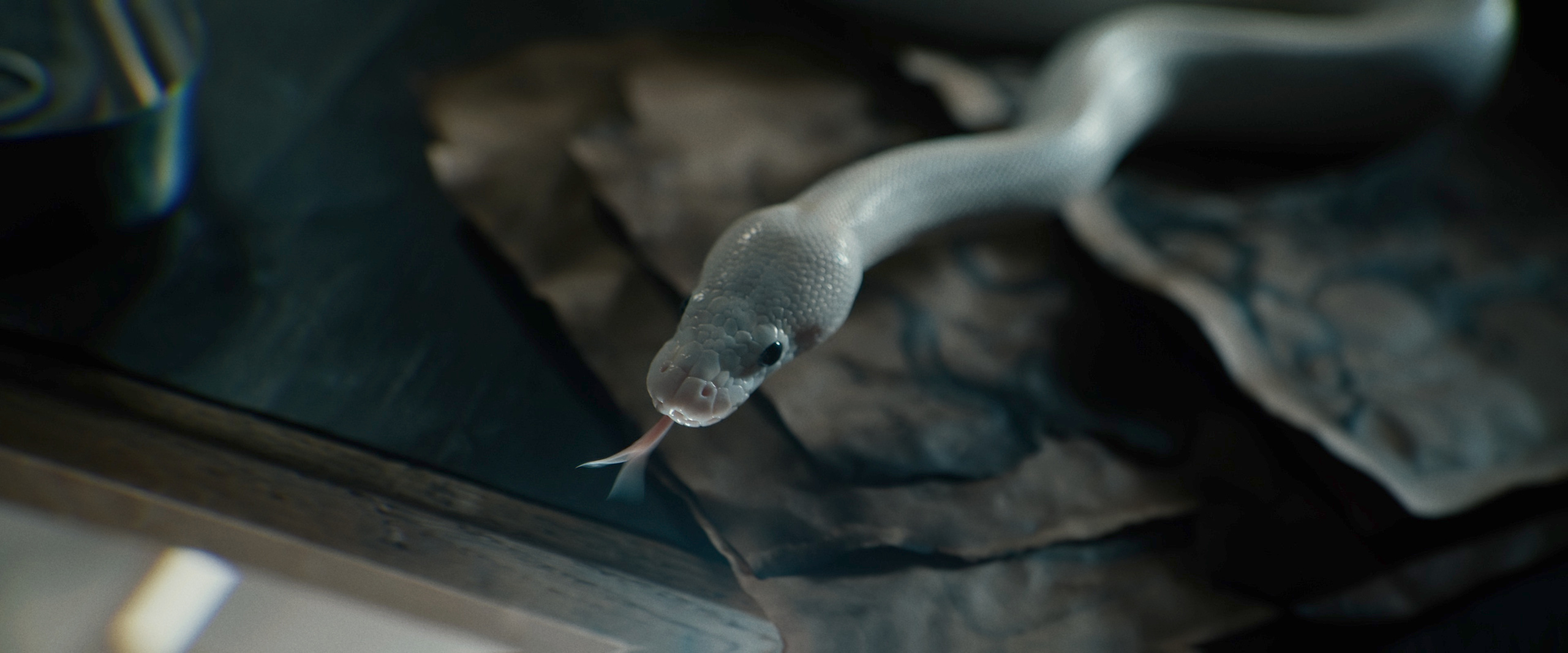 Музыкальное видео. Пшеницын — видеопродакшн