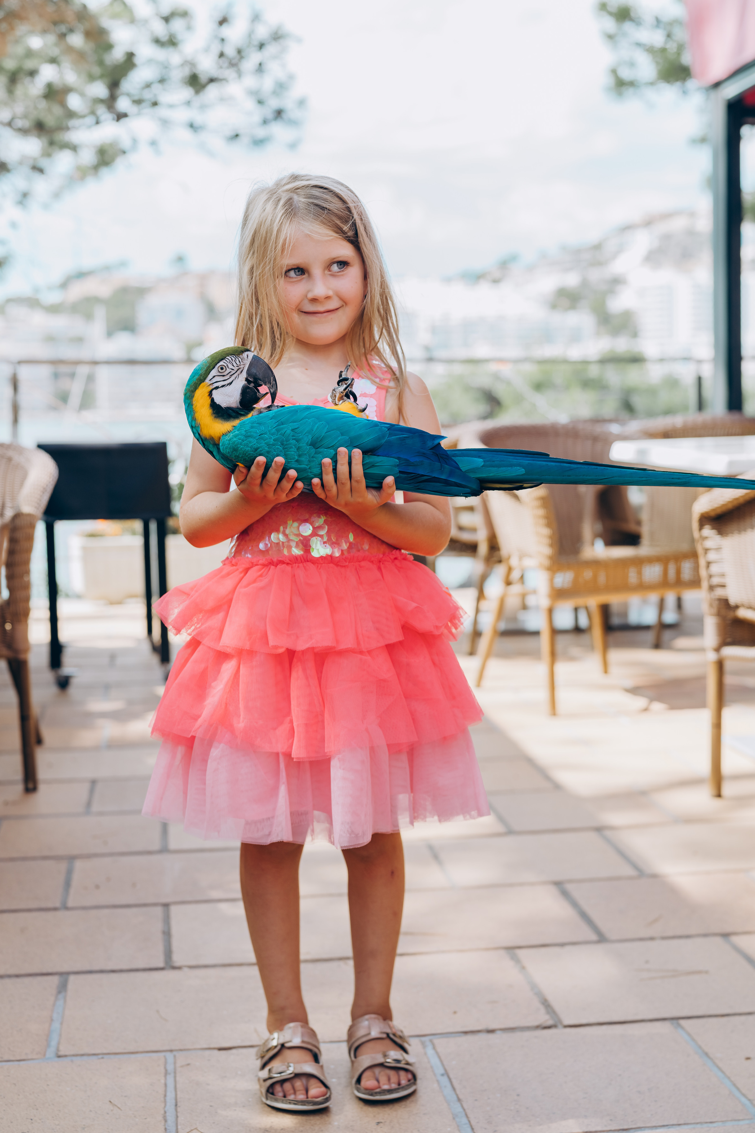 День рождения на Майорке. Photographer in Mallorca