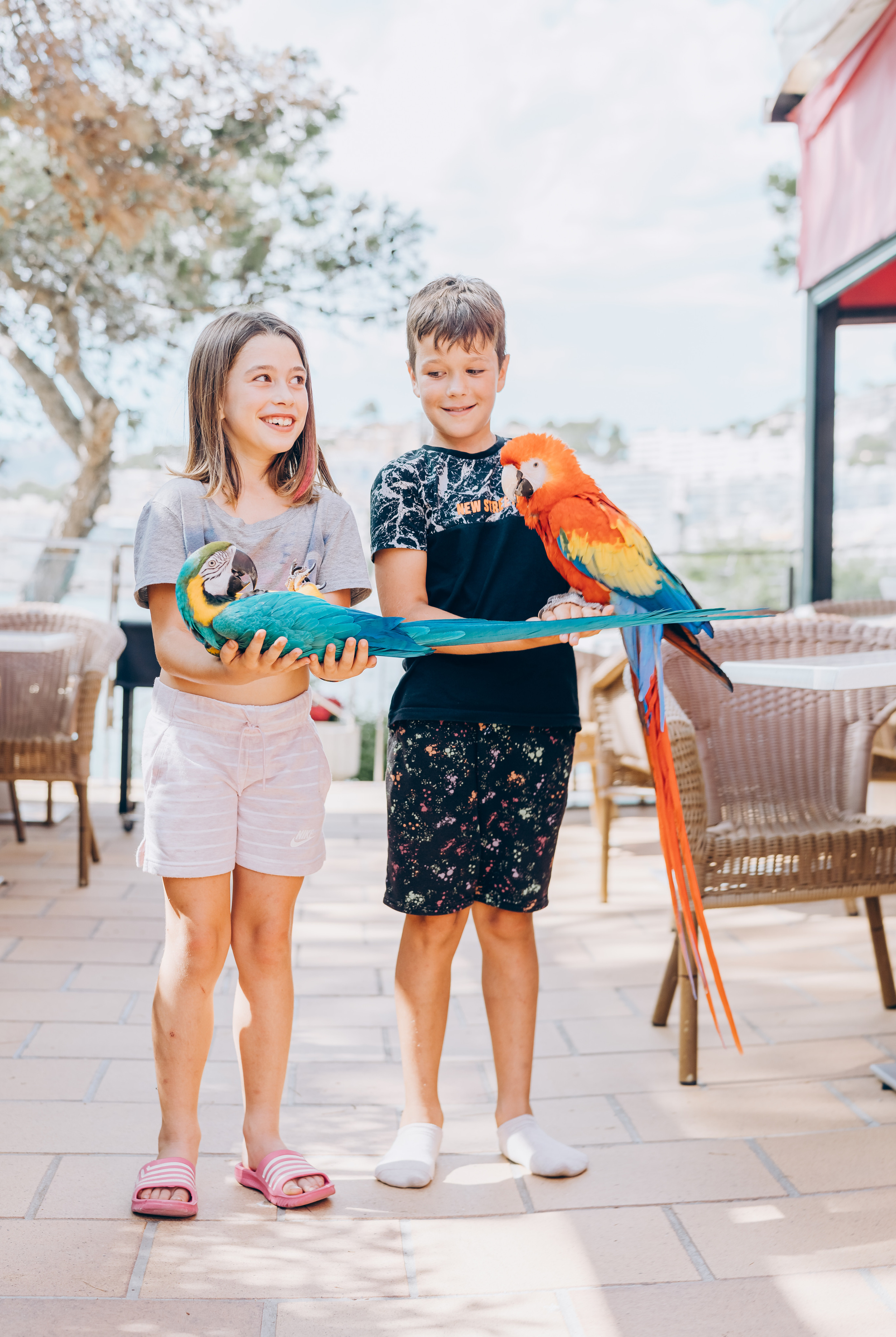 День рождения на Майорке. Photographer in Mallorca