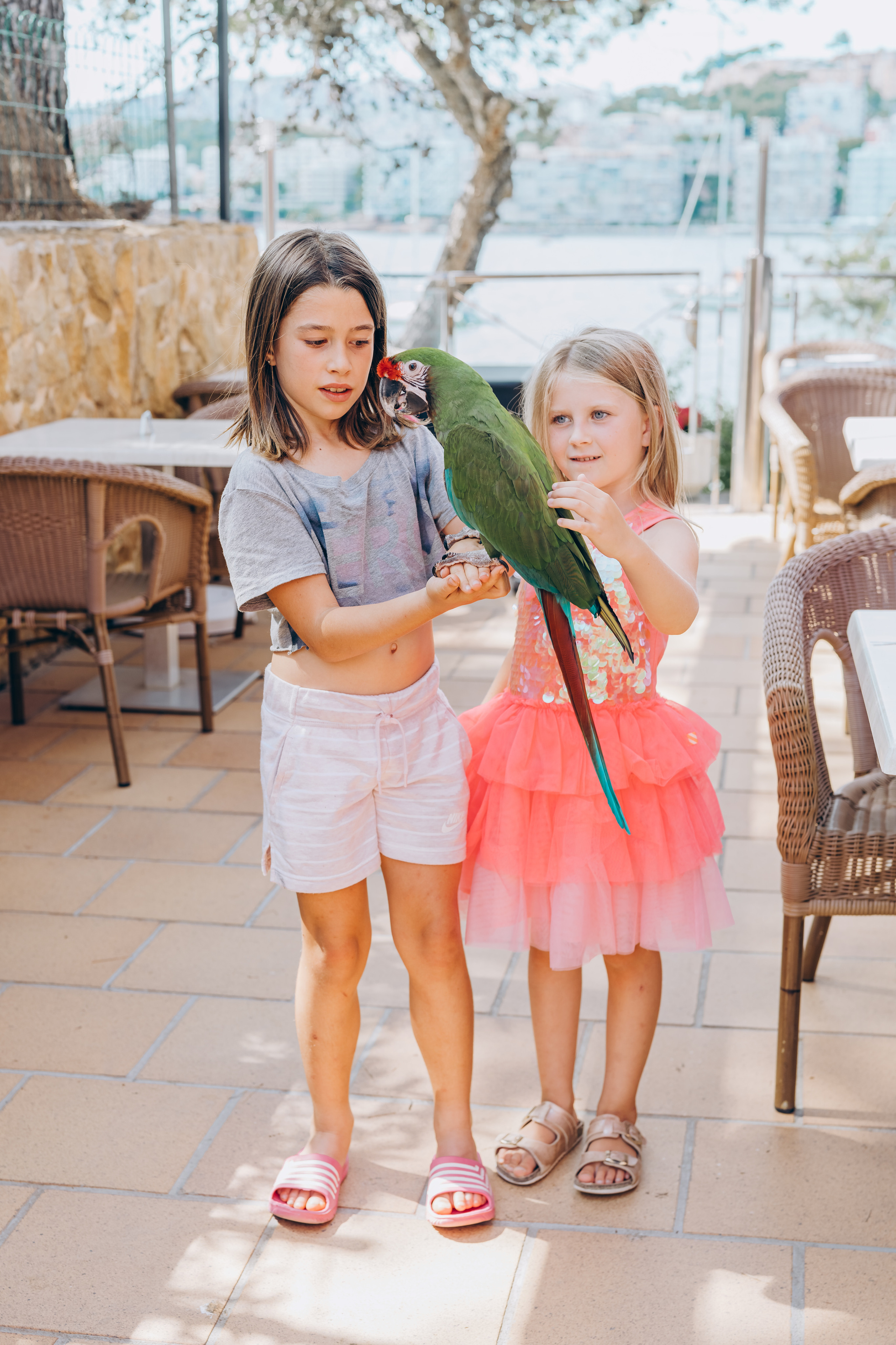 День рождения на Майорке. Photographer in Mallorca