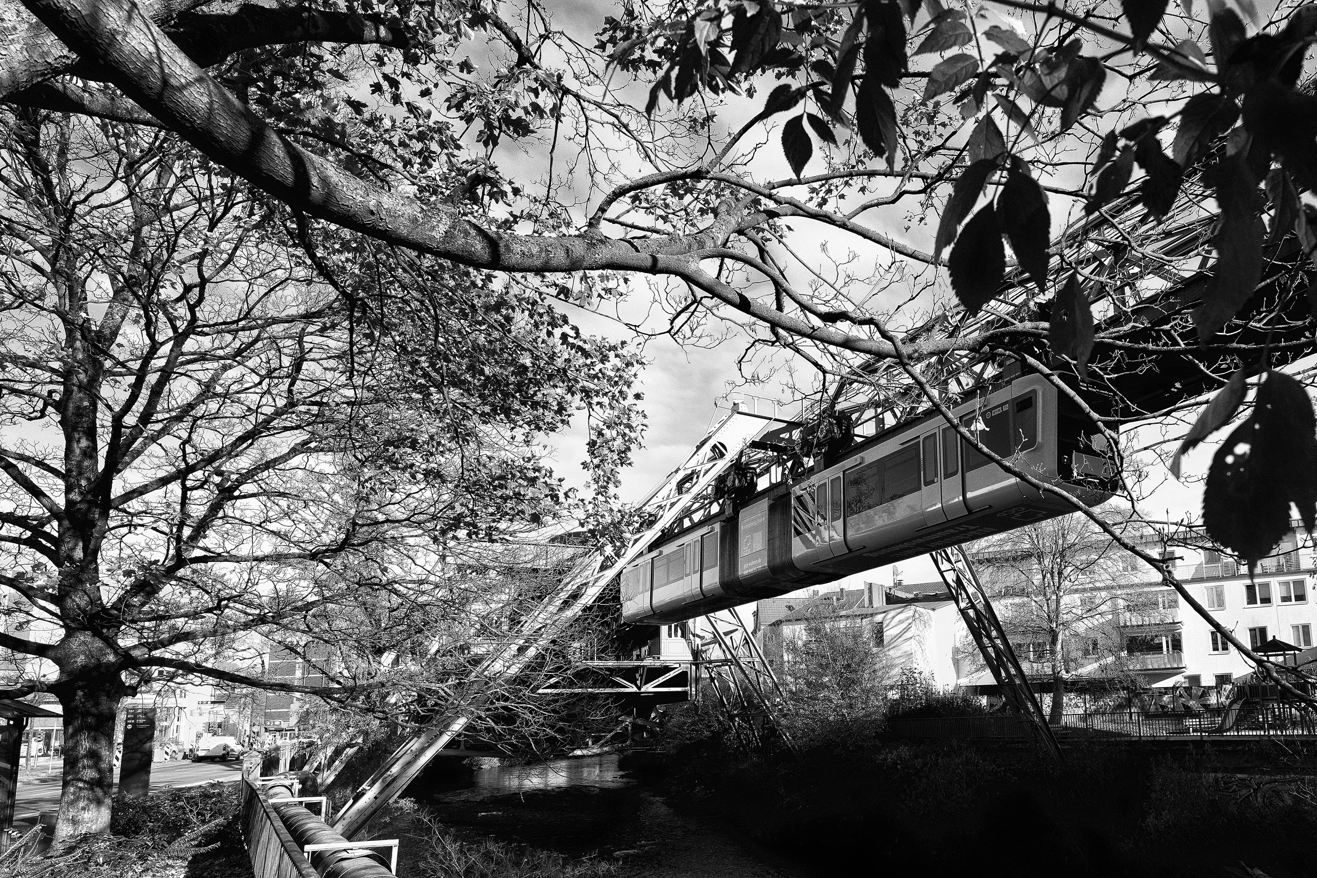 MOREL ОЧКИ. LUKIN IGOR Photography