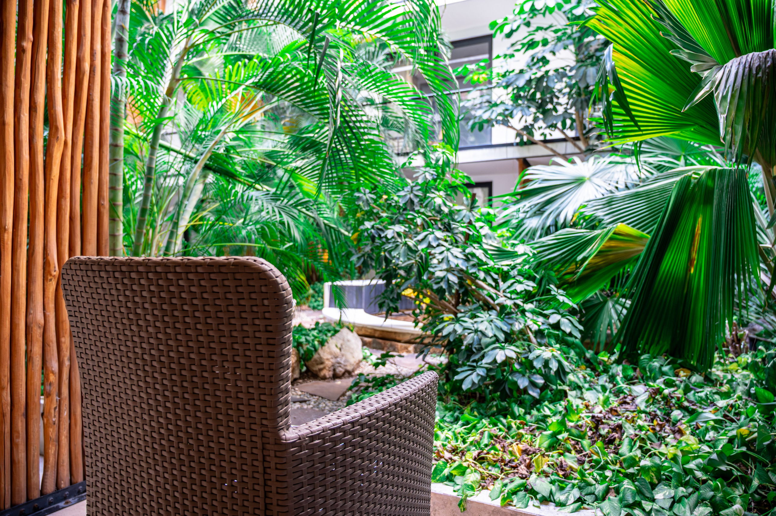 The Shore. ФОТОГРАФ МЕКСИКА КИНТАНА-РОО