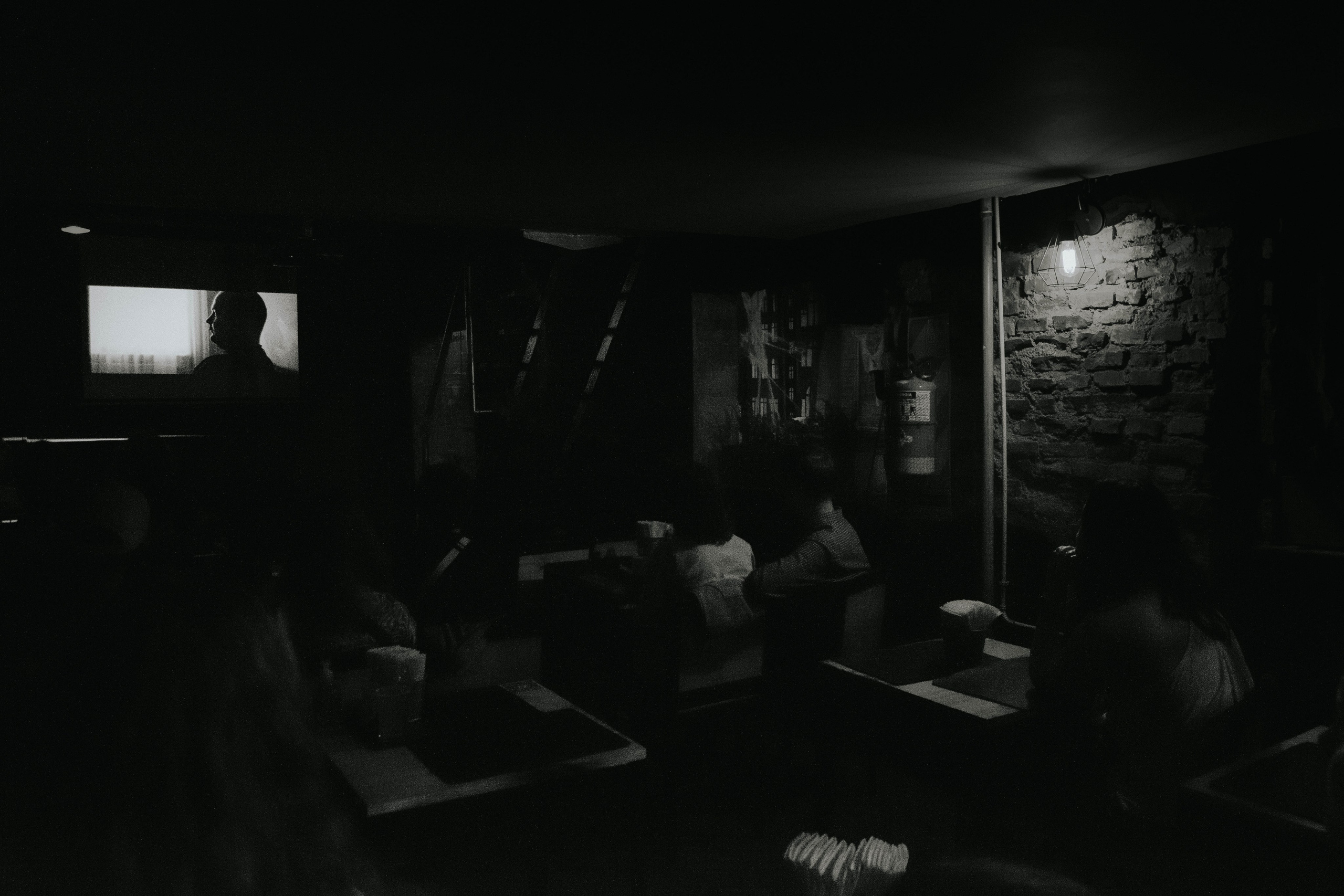 Kiski-mushki. Photographer @elmirkami in the city of Buenos Aires