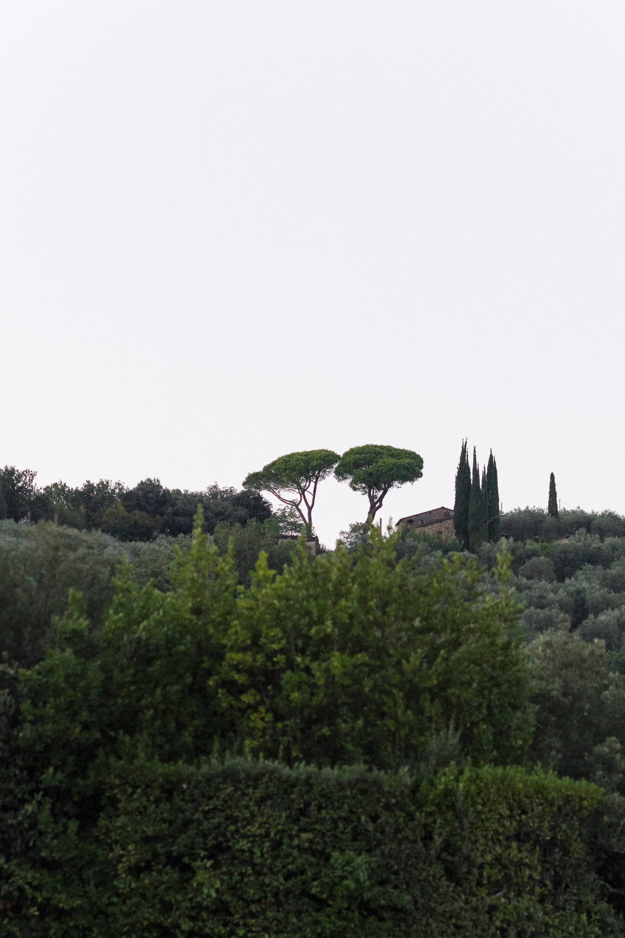 Alissa & Jakob · Villa Grabau, Tuscany. Raw Studio: Capturing Elegant weddings accross Europe