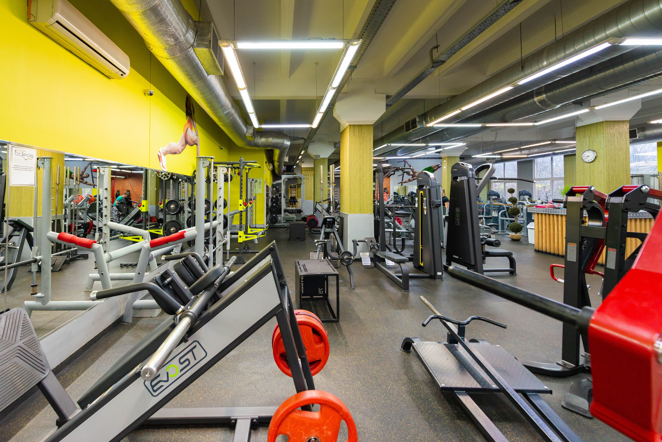 FitOstrov Дмитровская. ФОТОГРАФ МЕКСИКА КИНТАНА-РОО