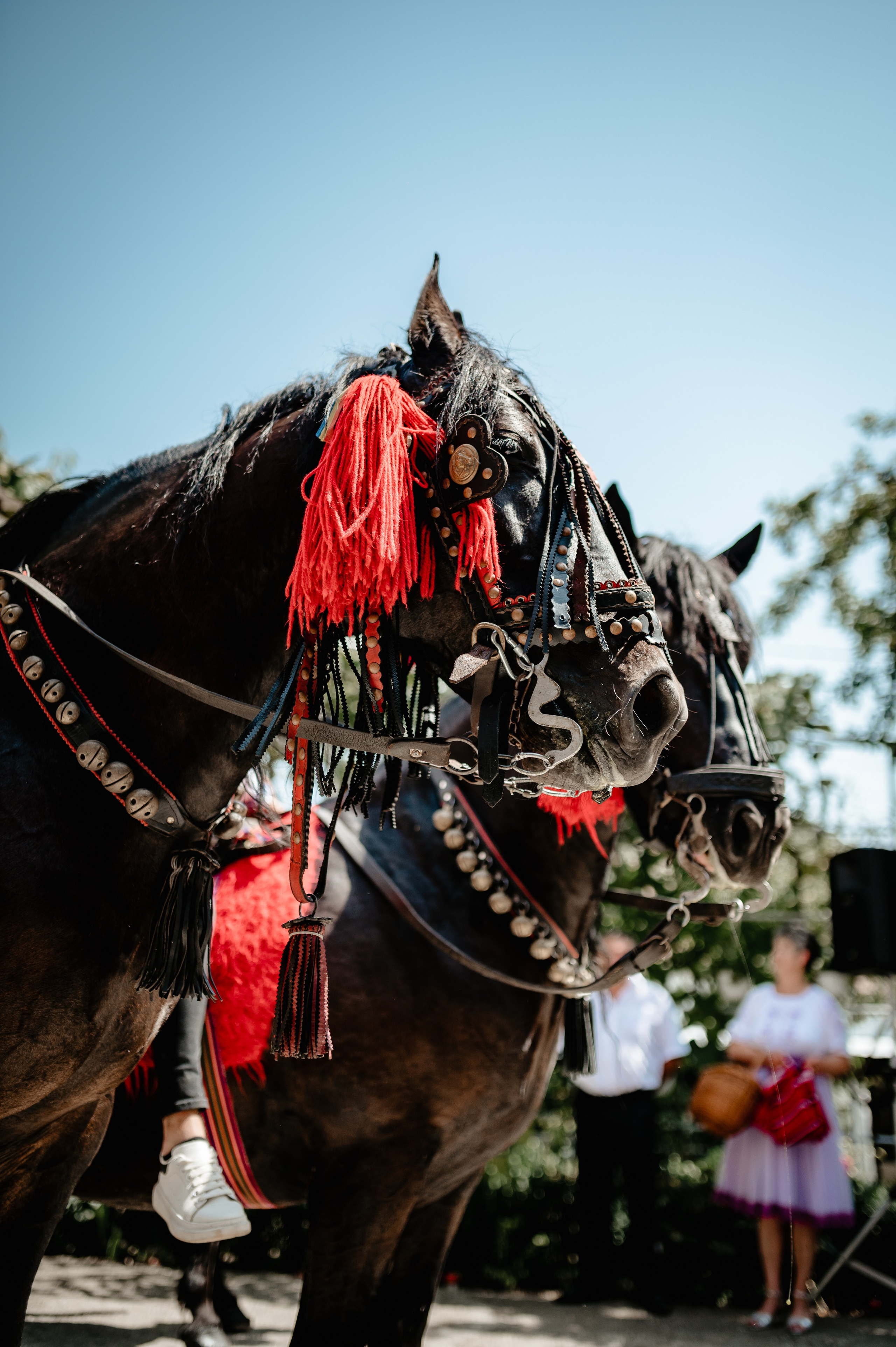 Georgiana & Eduard. Creativeiso.ro